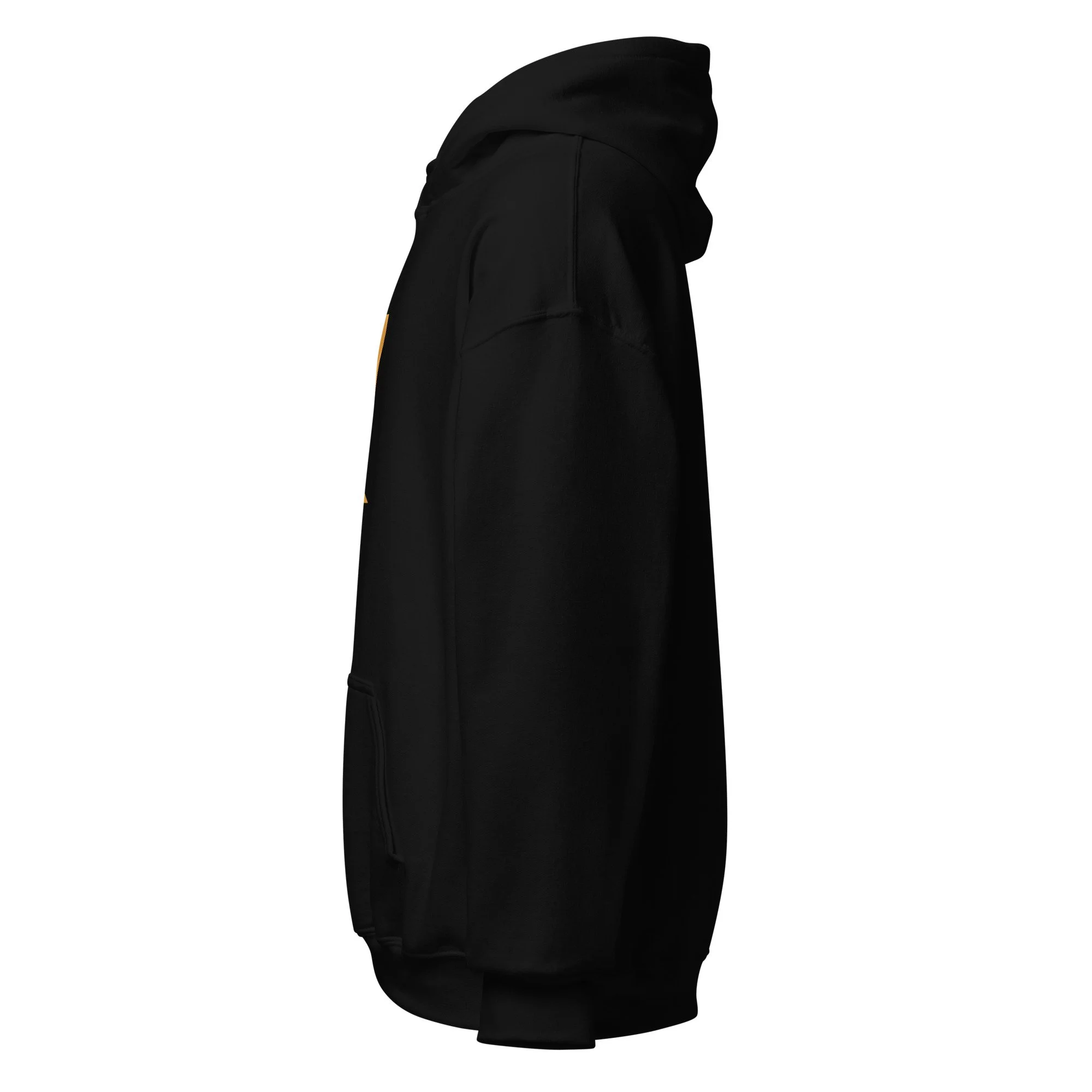 unisex-heavy-blend-hoodie-black-left-6a3d8505cd5e0.jpg