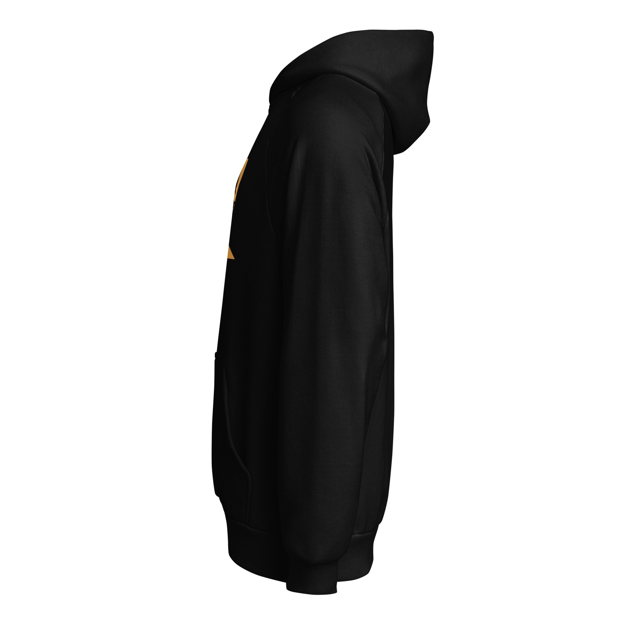 unisex-super-heavyweight-hoodie-black-left-6a3dff64866ff.jpg