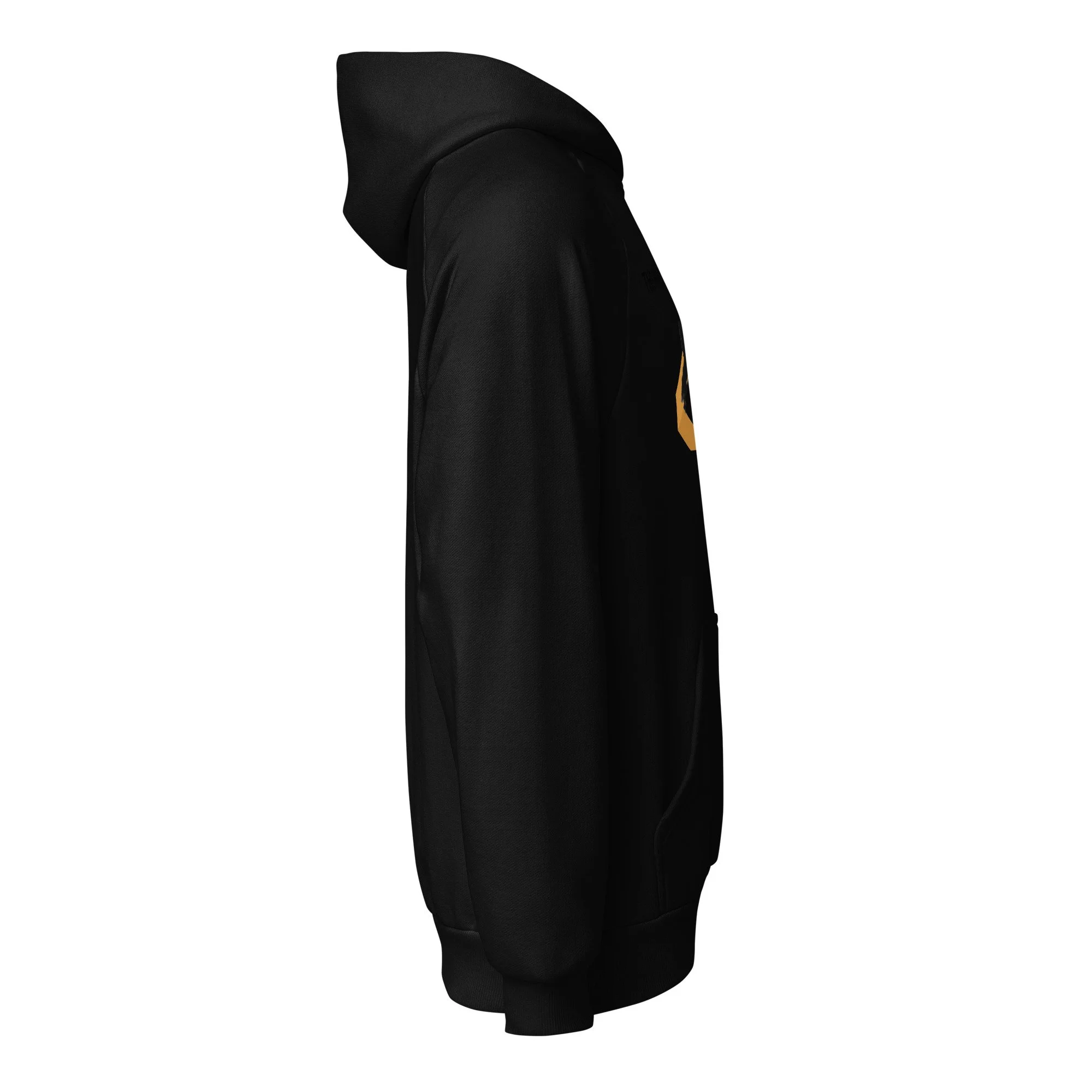 unisex-super-heavyweight-hoodie-black-right-6a3dff648717f.jpg