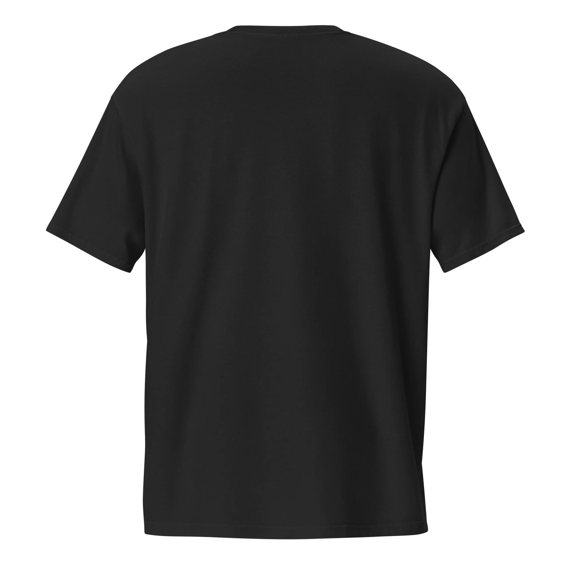 unisex-garment-dyed-pocket-t-shirt-black-back-6a438041b0545.jpg