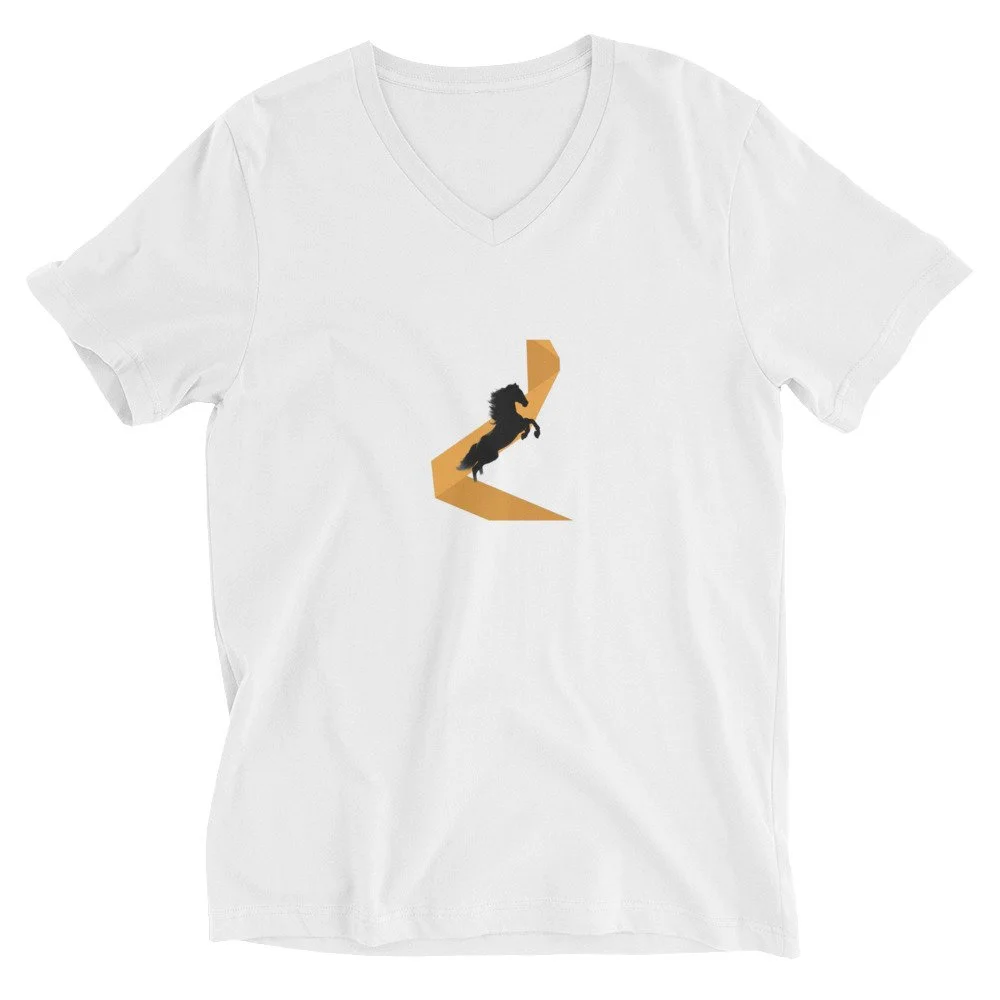 unisex-v-neck-tee-white-front-6a4383185c2b8.jpg