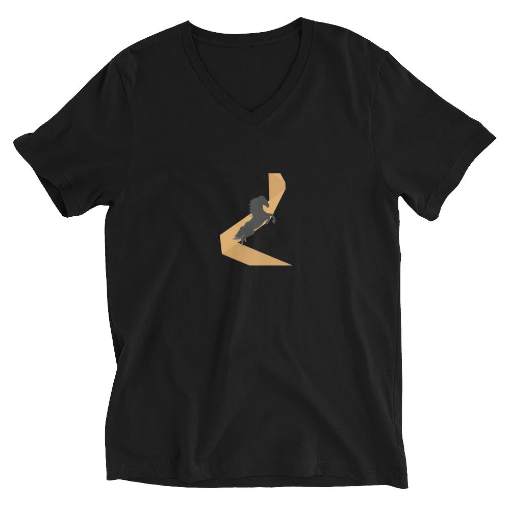 unisex-v-neck-tee-black-front-6a4383185d146.jpg