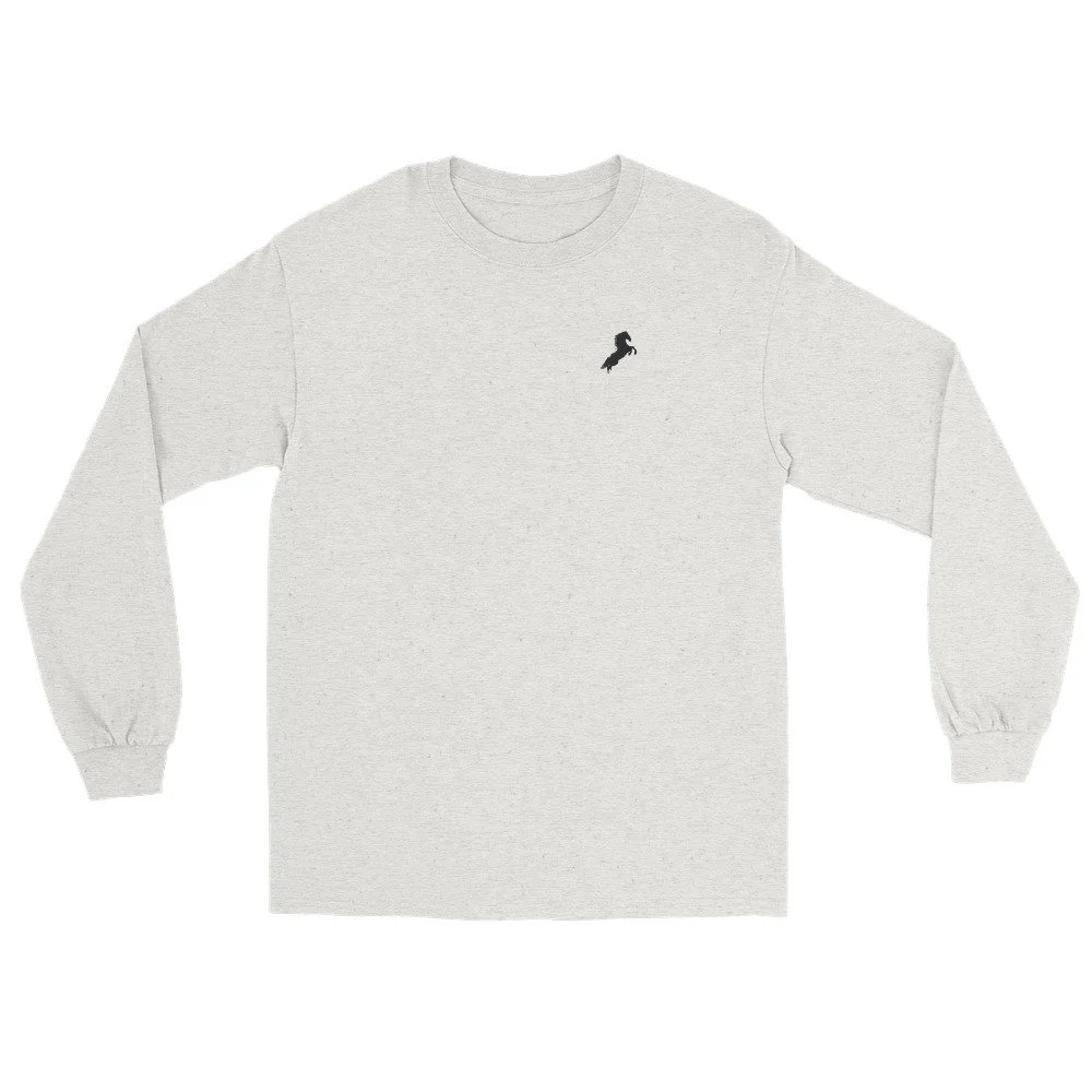 unisex-long-sleeve-shirt-ash-front-6a43844fed944.jpg