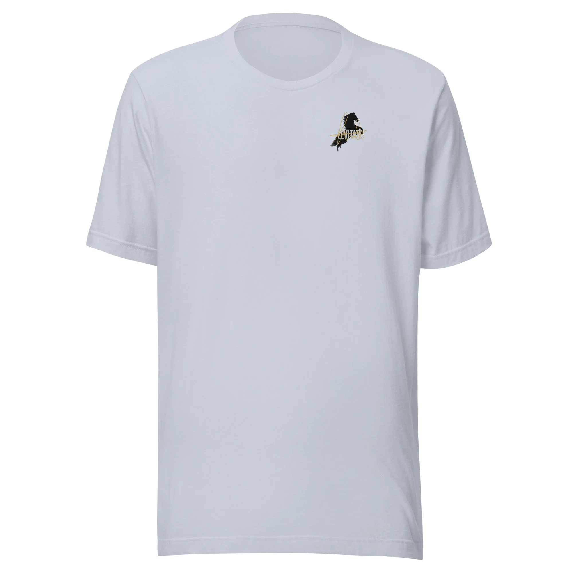 unisex-staple-t-shirt-light-blue-front-6a43861f48469.jpg
