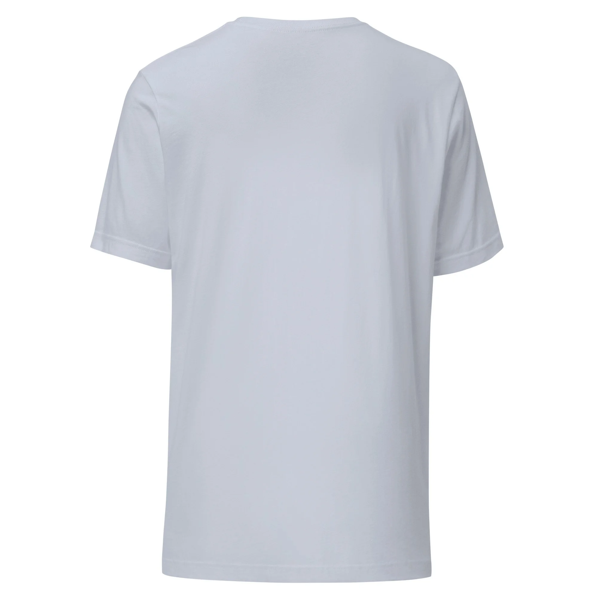 unisex-staple-t-shirt-light-blue-back-6a43861f49033.jpg
