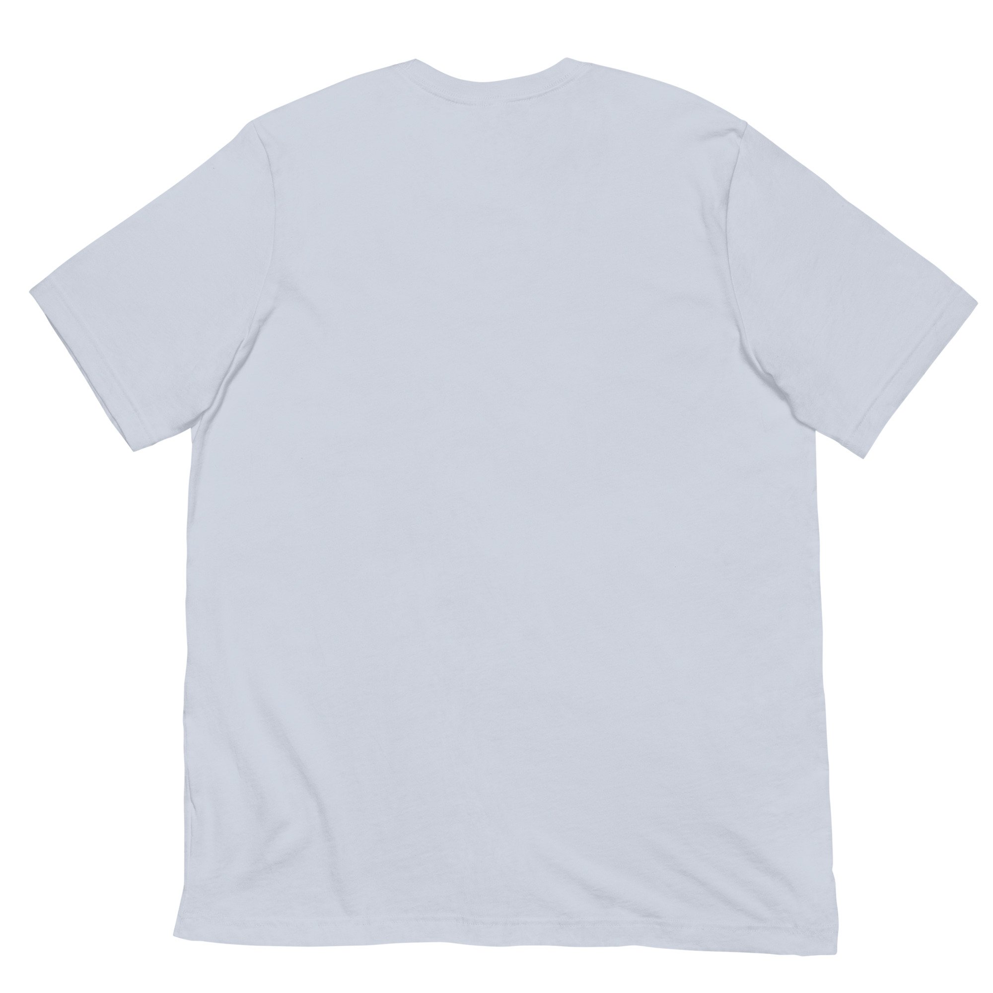 unisex-staple-t-shirt-light-blue-back-6a43861f4785f.jpg