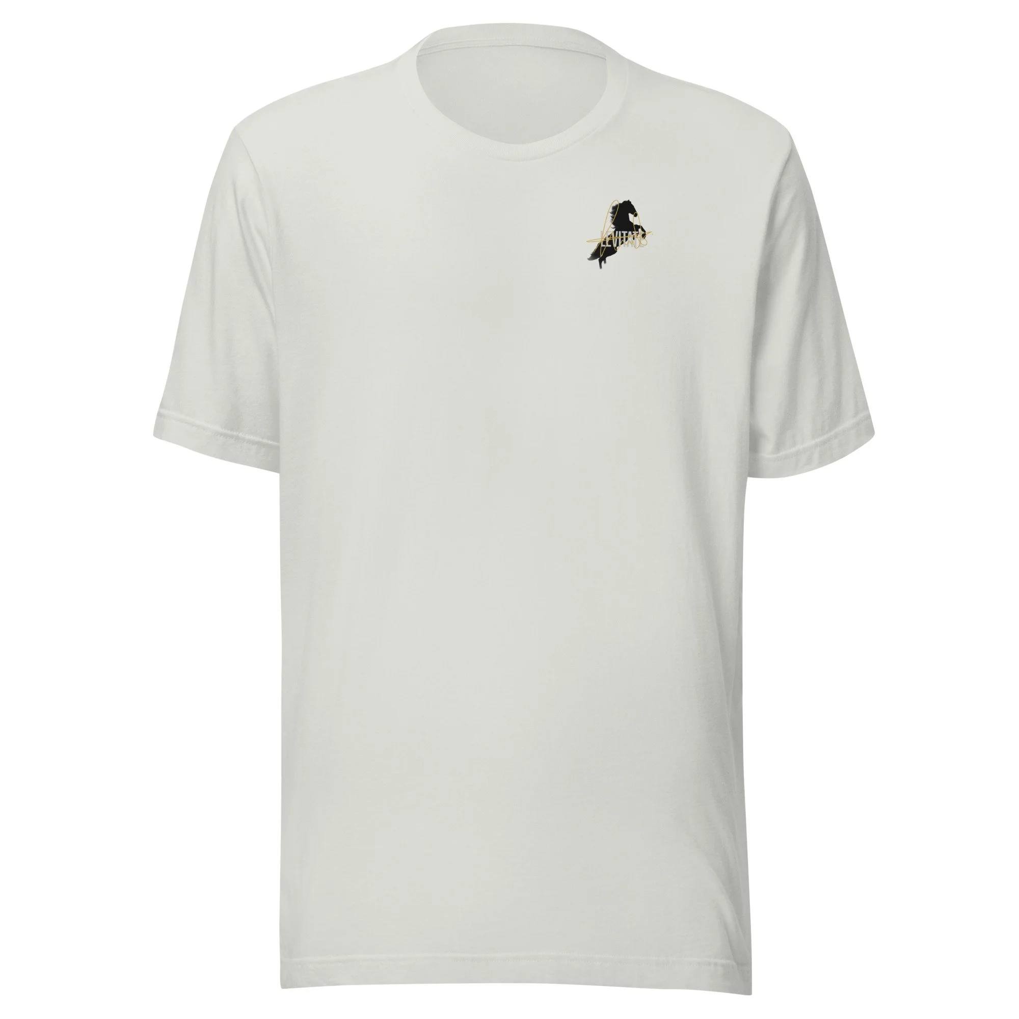 unisex-staple-t-shirt-silver-front-6a43861f4850b.jpg