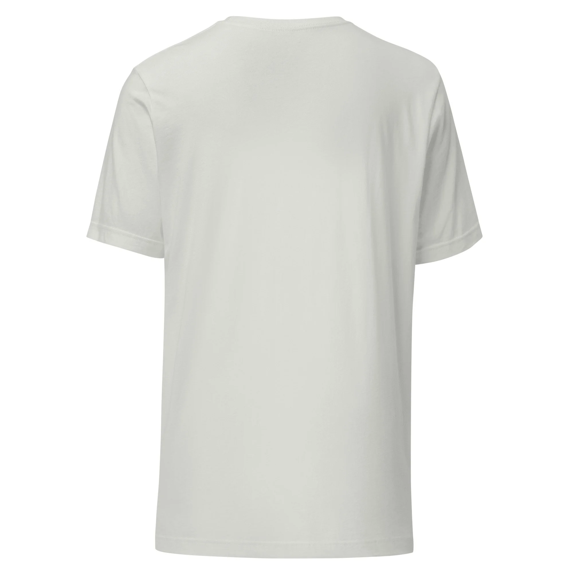 unisex-staple-t-shirt-silver-back-6a43861f490c6.jpg