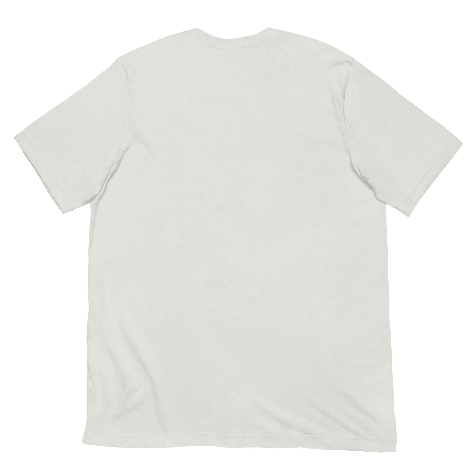 unisex-staple-t-shirt-silver-back-6a43861f4790f.jpg
