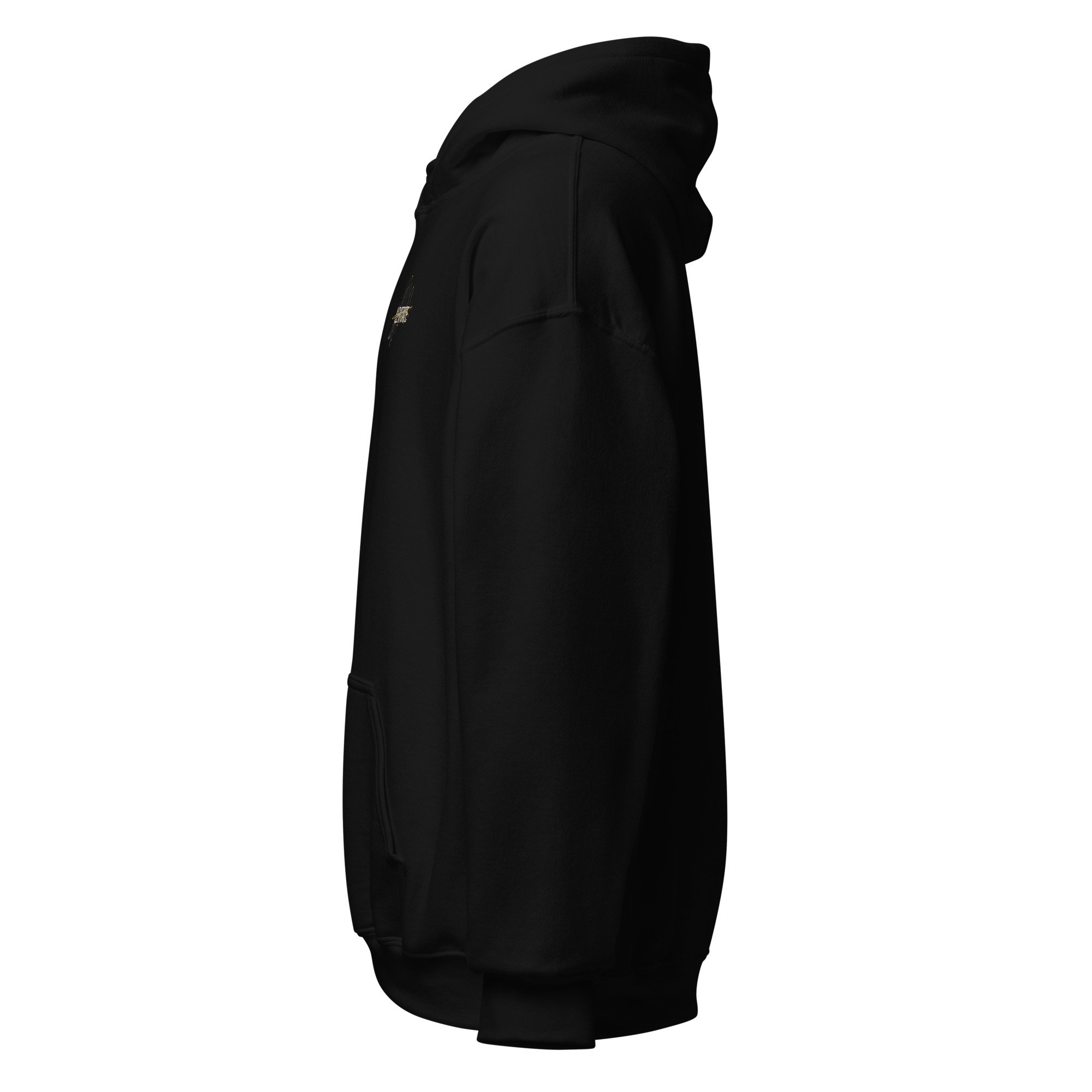 unisex-heavy-blend-hoodie-black-left-6a4387e847e69.jpg