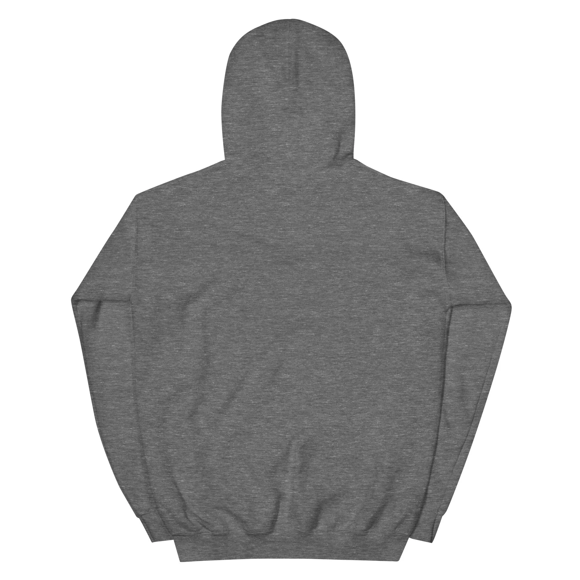 unisex-heavy-blend-hoodie-graphite-heather-back-6a4387e845306.jpg