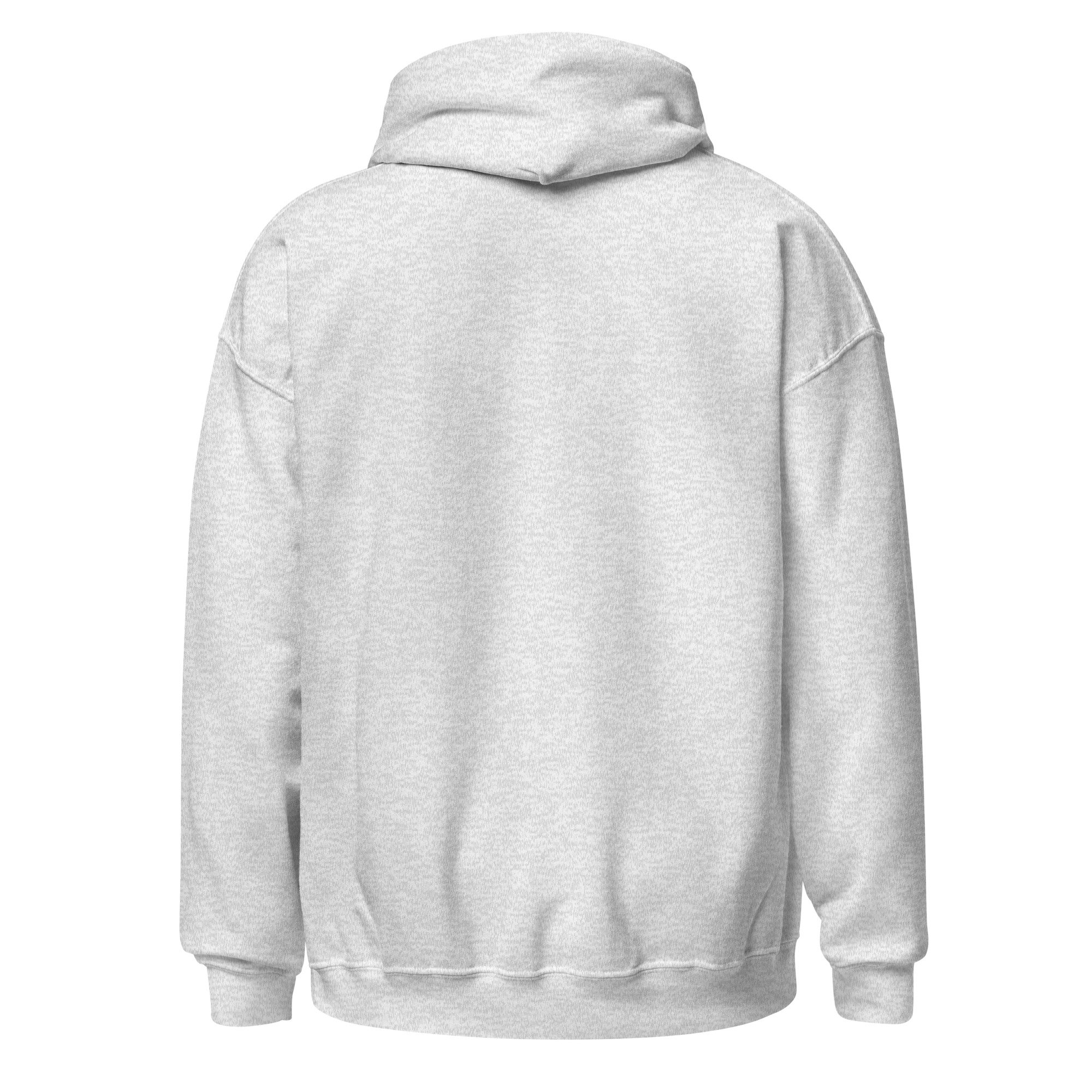 unisex-heavy-blend-hoodie-ash-back-6a4387e846e81.jpg