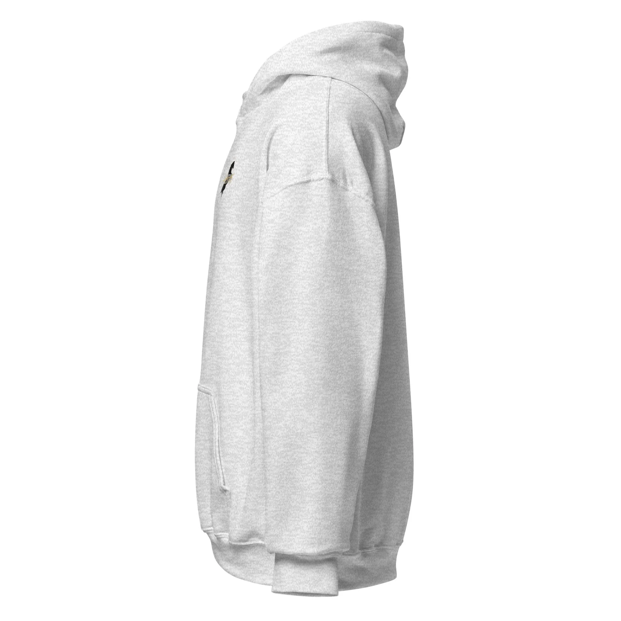 unisex-heavy-blend-hoodie-ash-left-6a4387e847de0.jpg