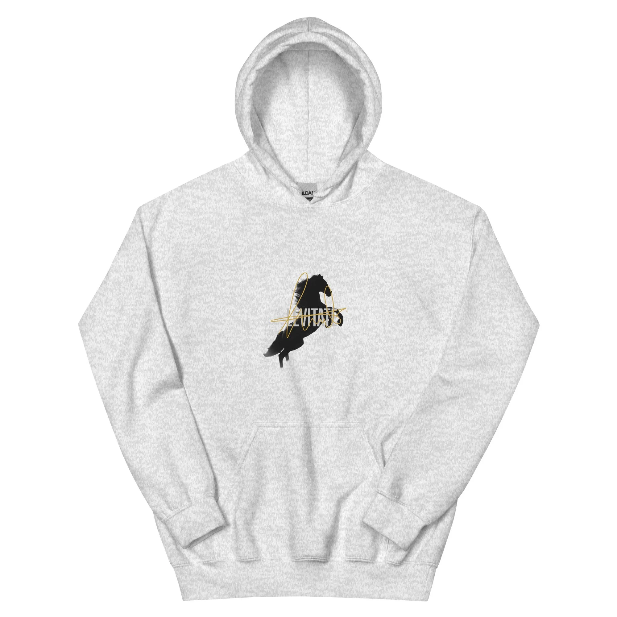 unisex-heavy-blend-hoodie-ash-front-6a4387fb41dec.jpg