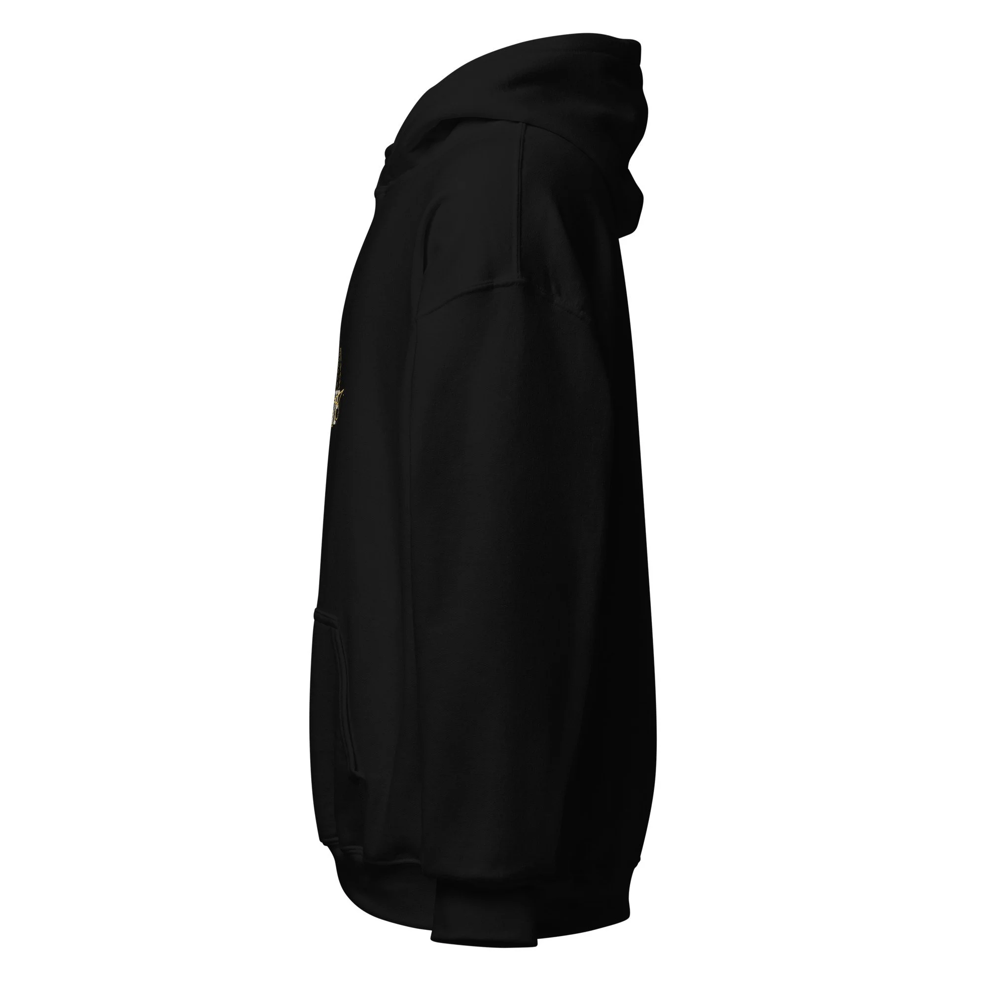 unisex-heavy-blend-hoodie-black-left-6a4387fb44f2f.jpg