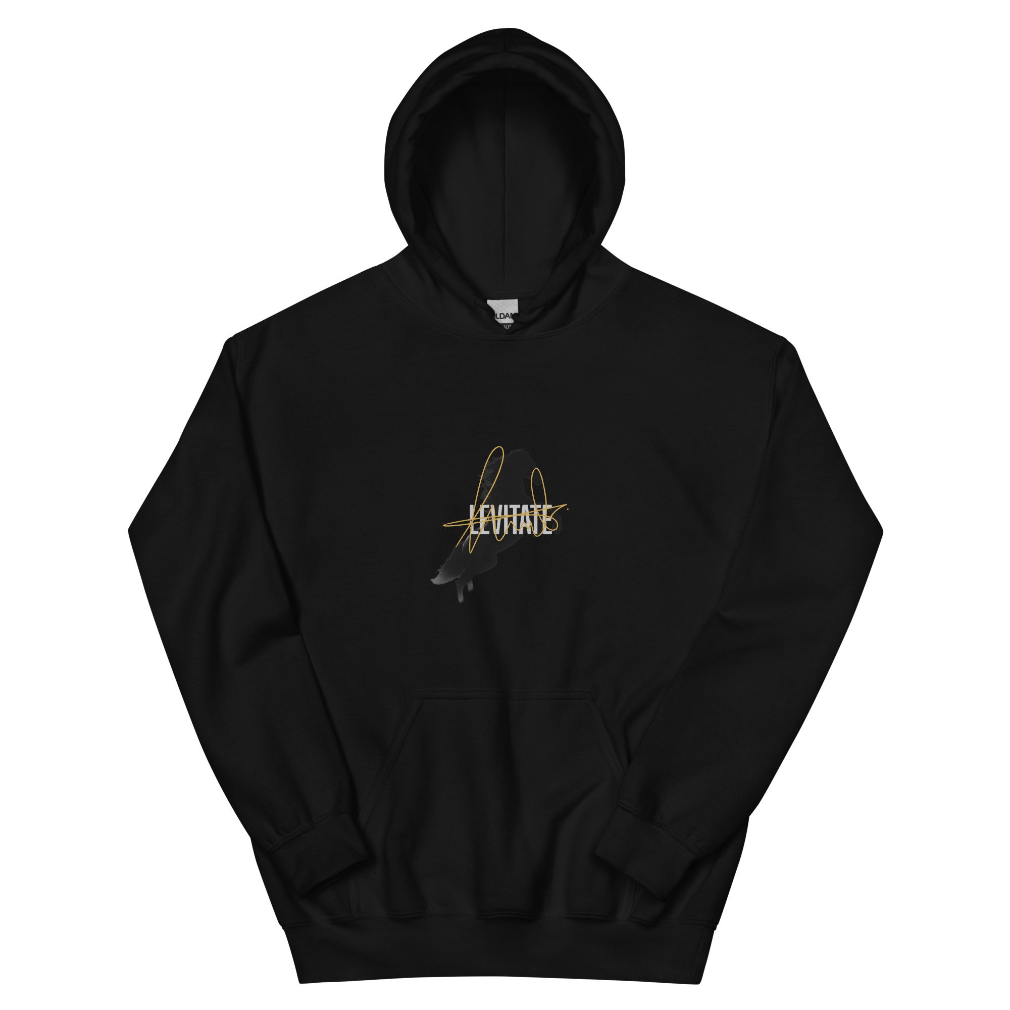 unisex-heavy-blend-hoodie-black-front-6a4387fb4304e.jpg