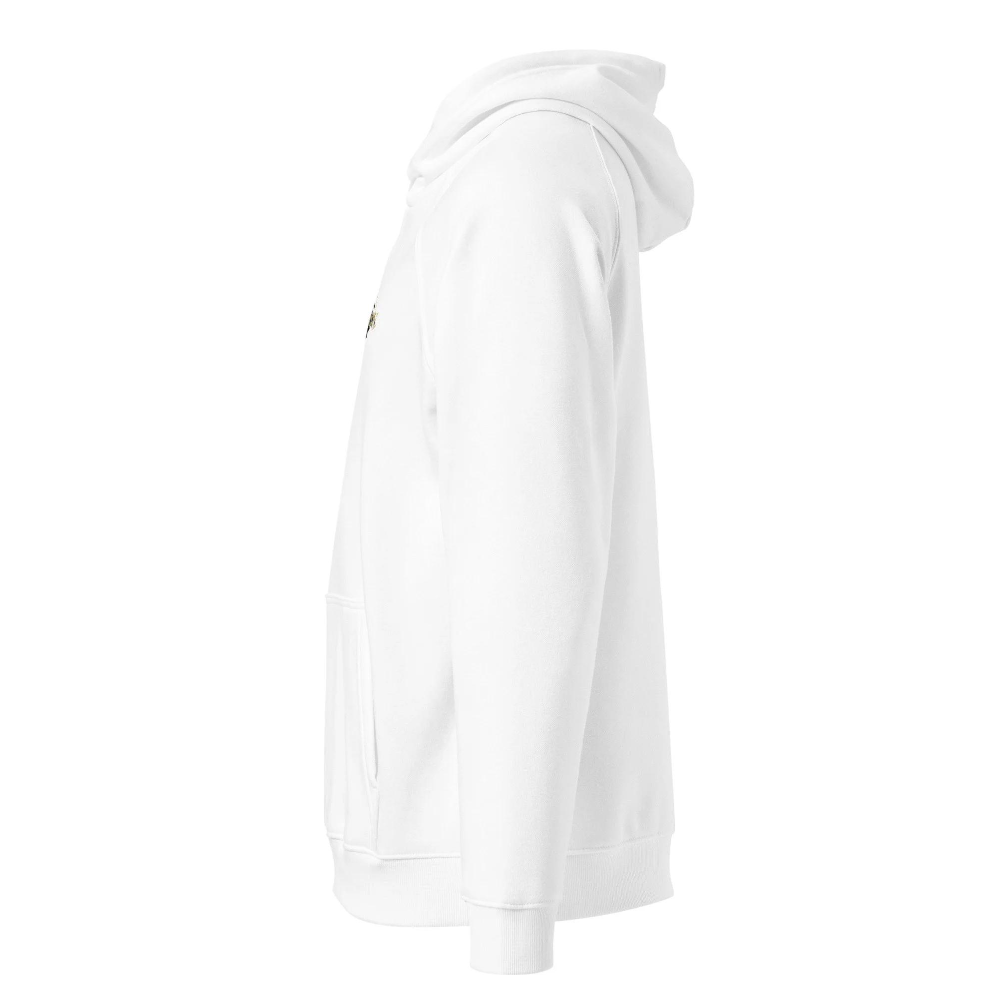 unisex-eco-raglan-hoodie-white-left-6a4388a3ddd37.jpg