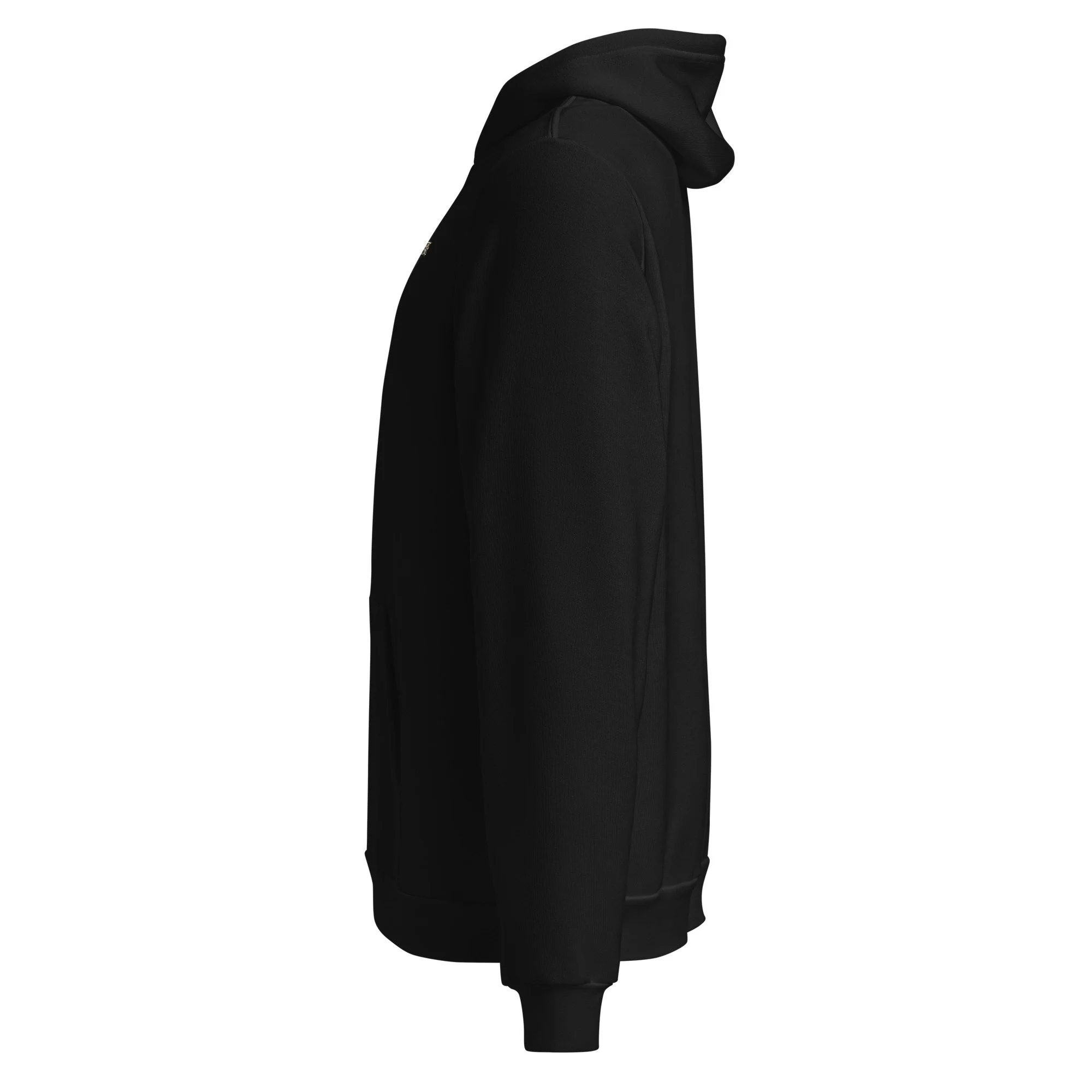 unisex-pullover-hoodie-black-left-6a4388e702ce7.jpg