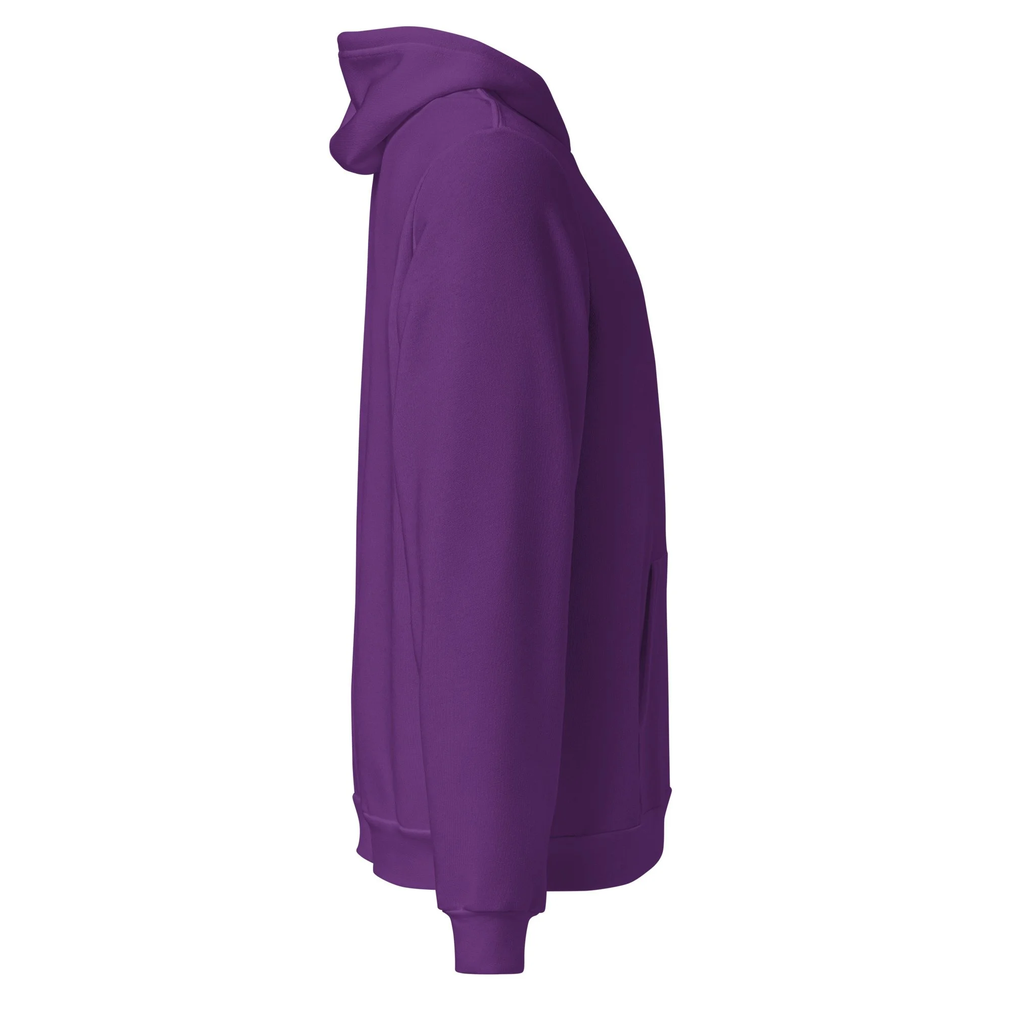 unisex-pullover-hoodie-team-purple-right-6a4388e703575.jpg