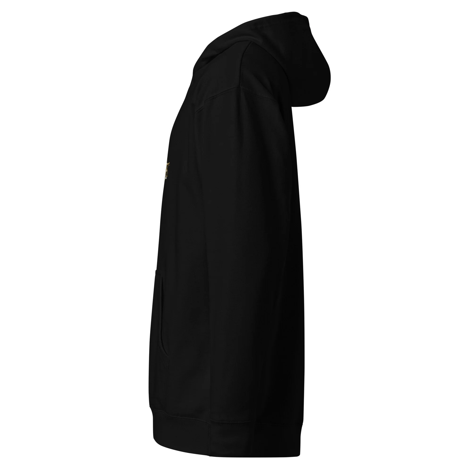 unisex-midweight-hoodie-black-left-6a43895f4204d.jpg