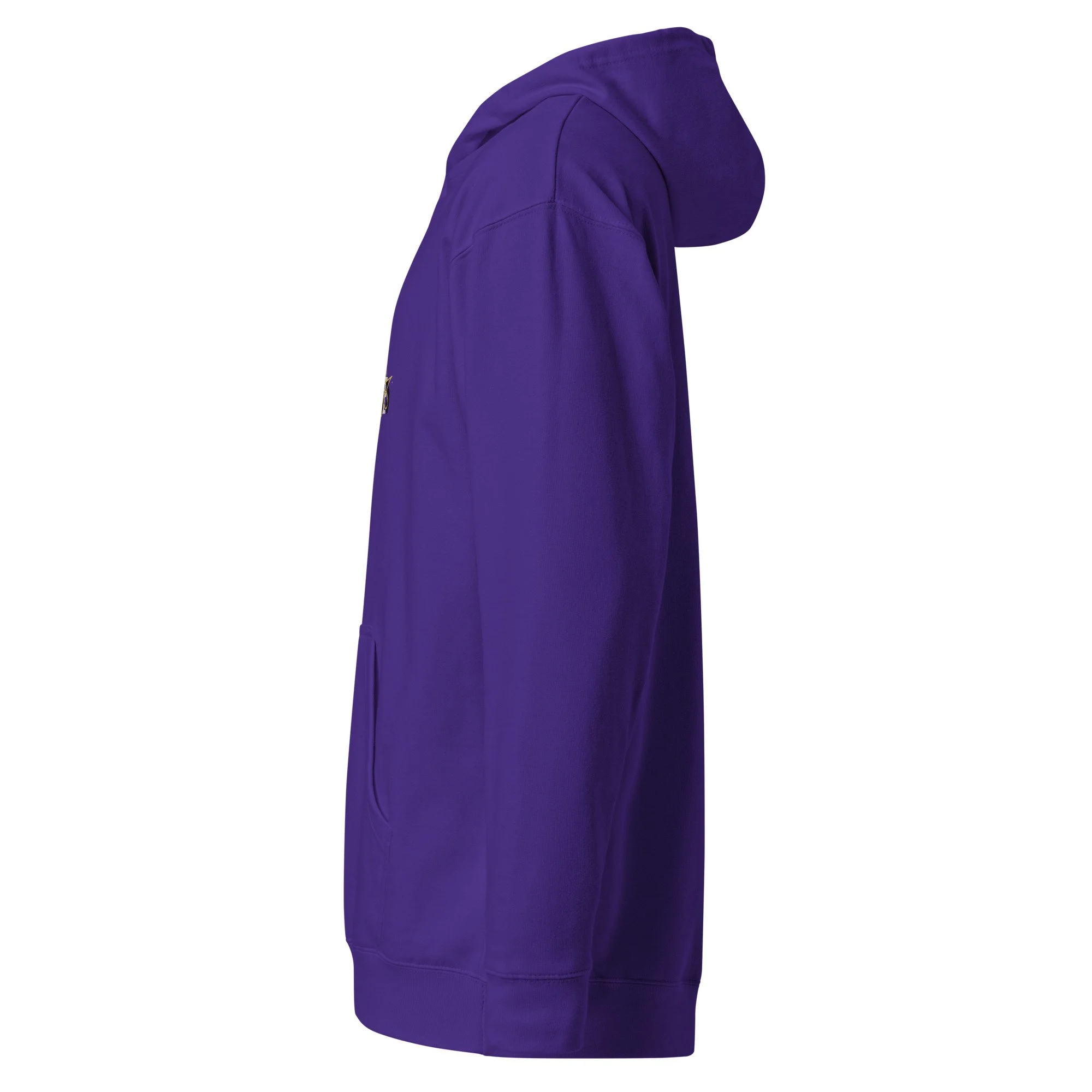 unisex-midweight-hoodie-purple-left-6a43895f42242.jpg