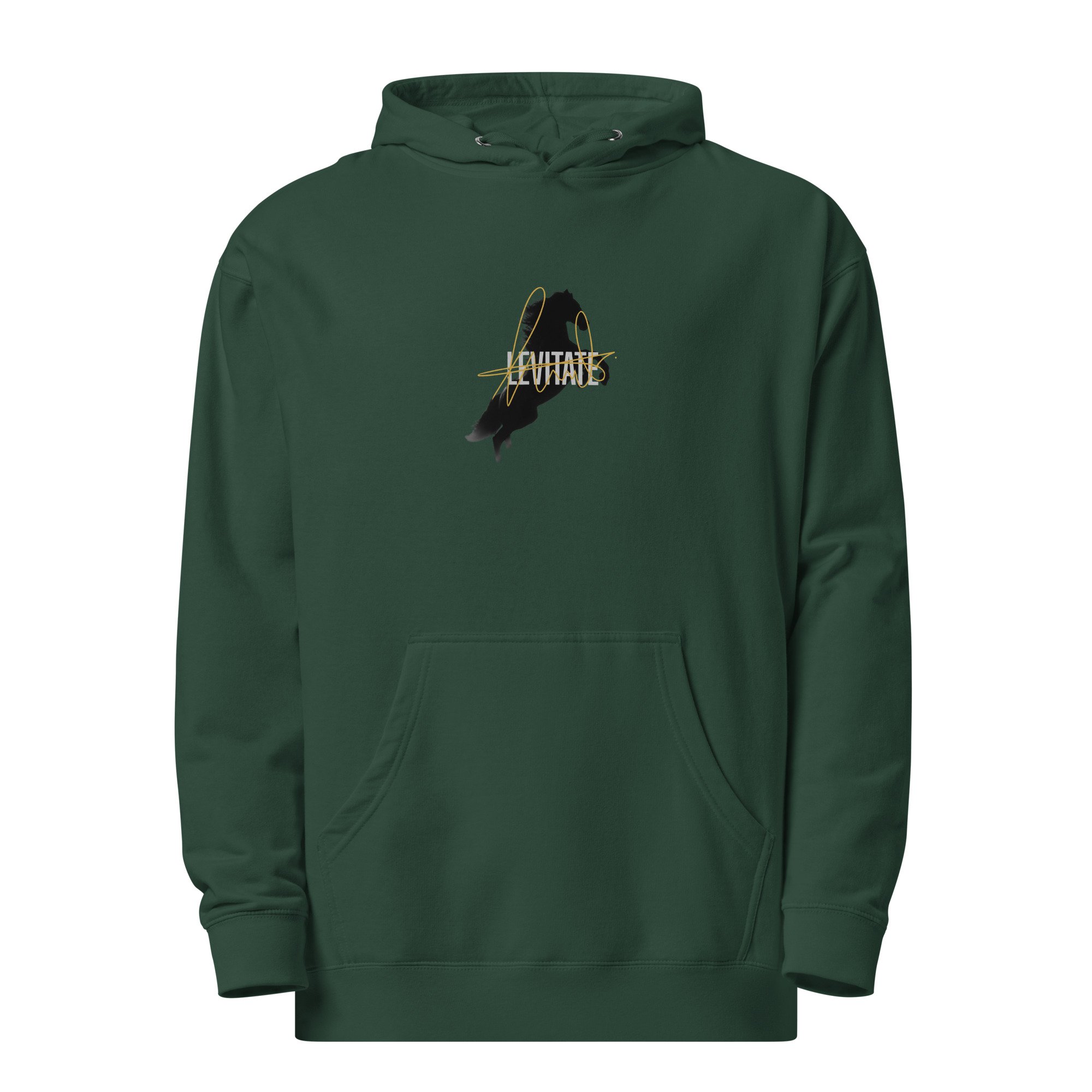 unisex-midweight-hoodie-alpine-green-front-6a43895f40238.jpg