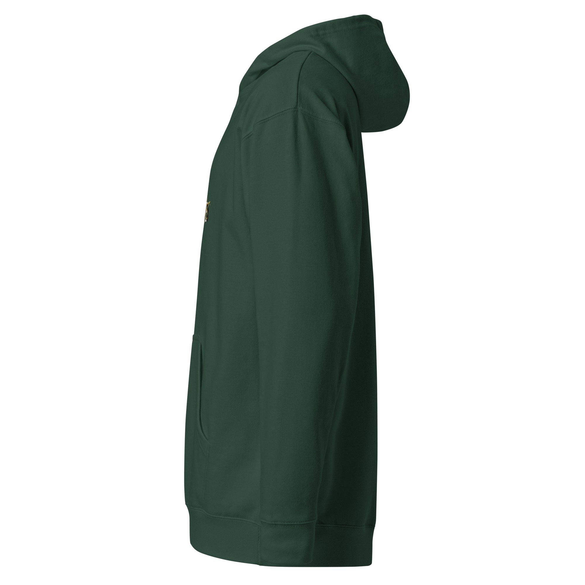 unisex-midweight-hoodie-alpine-green-left-6a43895f41fd2.jpg