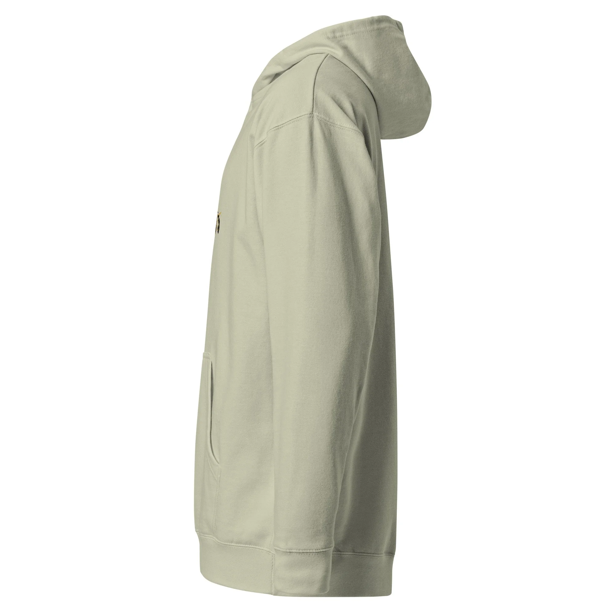 unisex-midweight-hoodie-dusty-sage-left-6a43895f4246a.jpg
