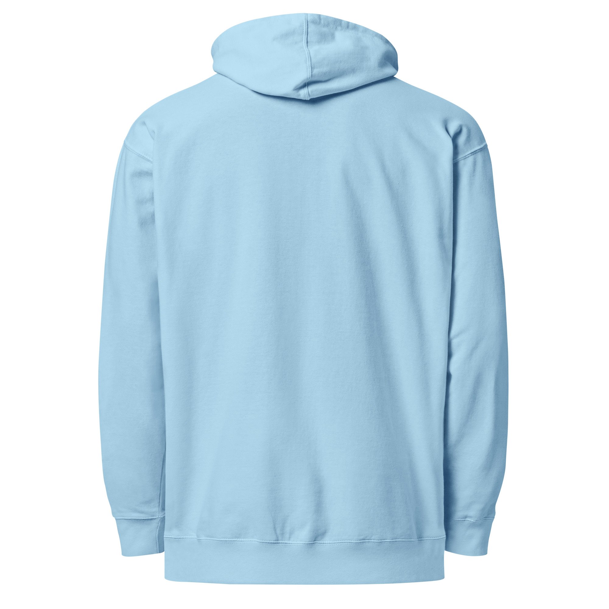 unisex-midweight-hoodie-blue-aqua-back-6a43895f41765.jpg