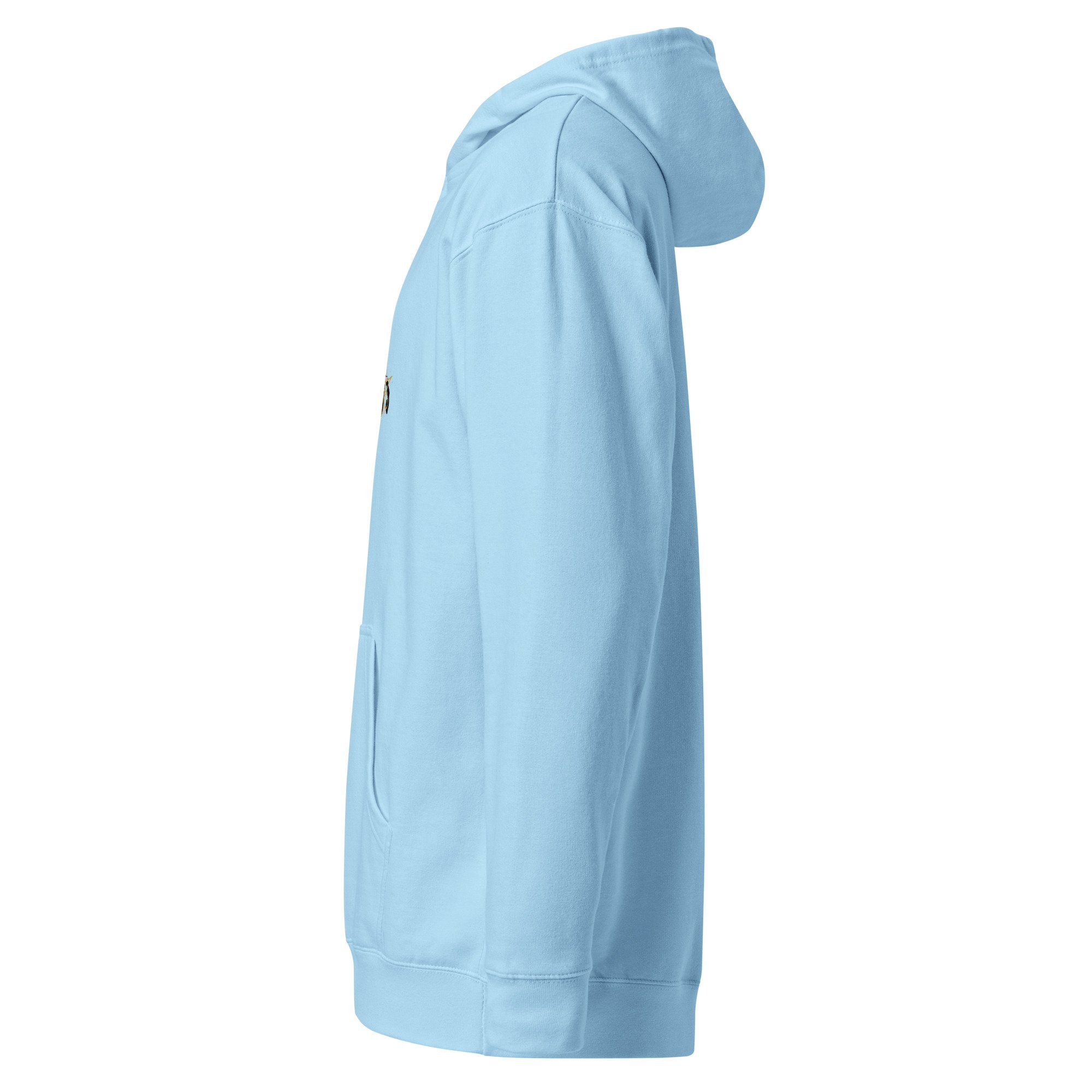 unisex-midweight-hoodie-blue-aqua-left-6a43895f42099.jpg
