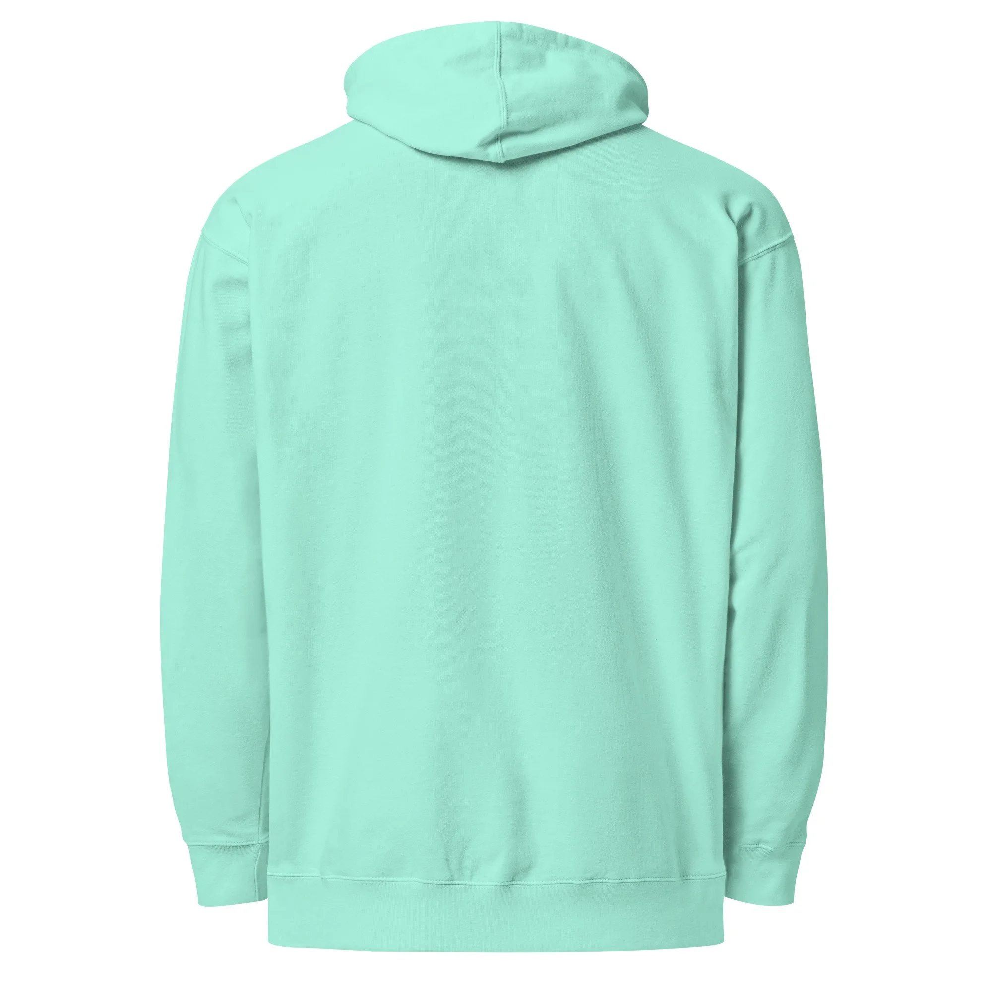unisex-midweight-hoodie-mint-back-6a43895f41878.jpg