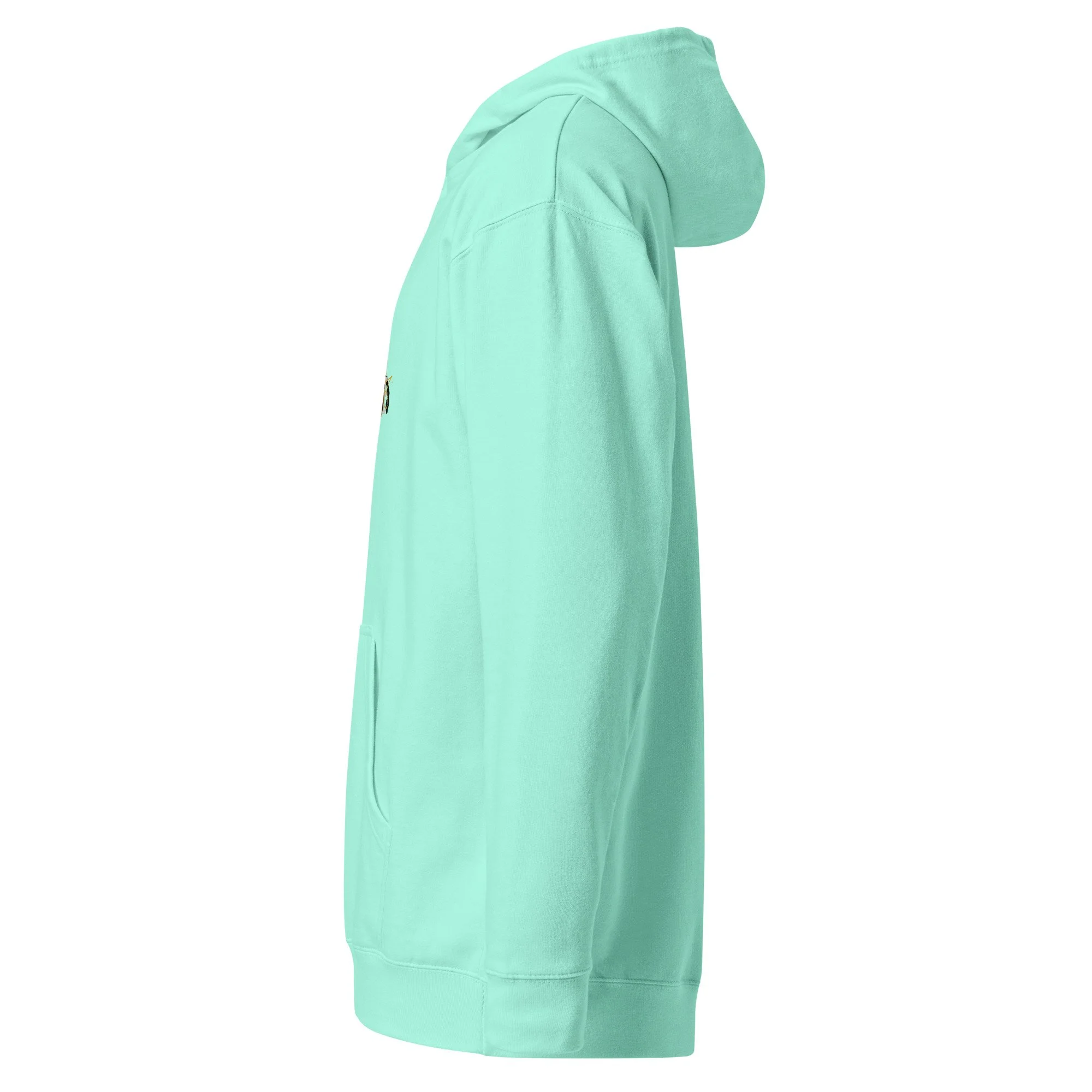 unisex-midweight-hoodie-mint-left-6a43895f421be.jpg