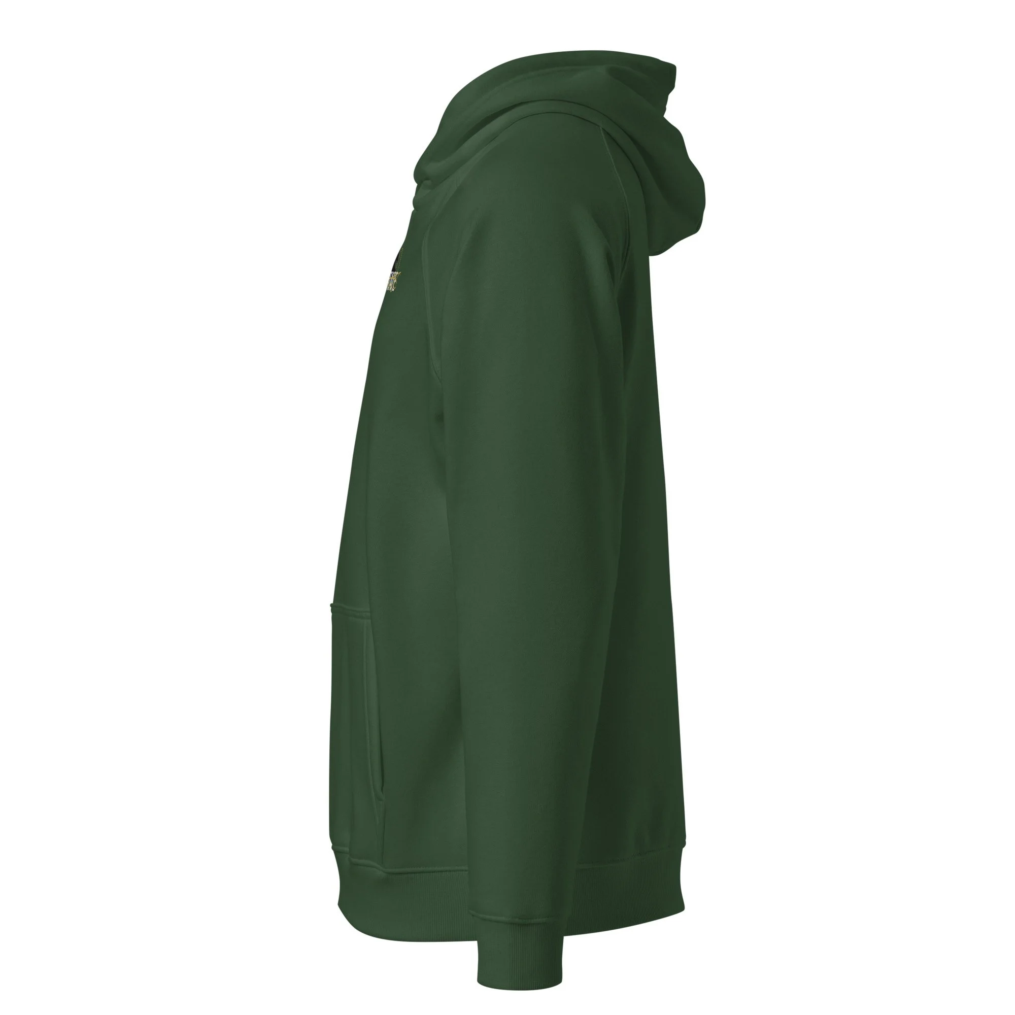 unisex-eco-raglan-hoodie-bottle-green-left-6a4389bec85a3.jpg
