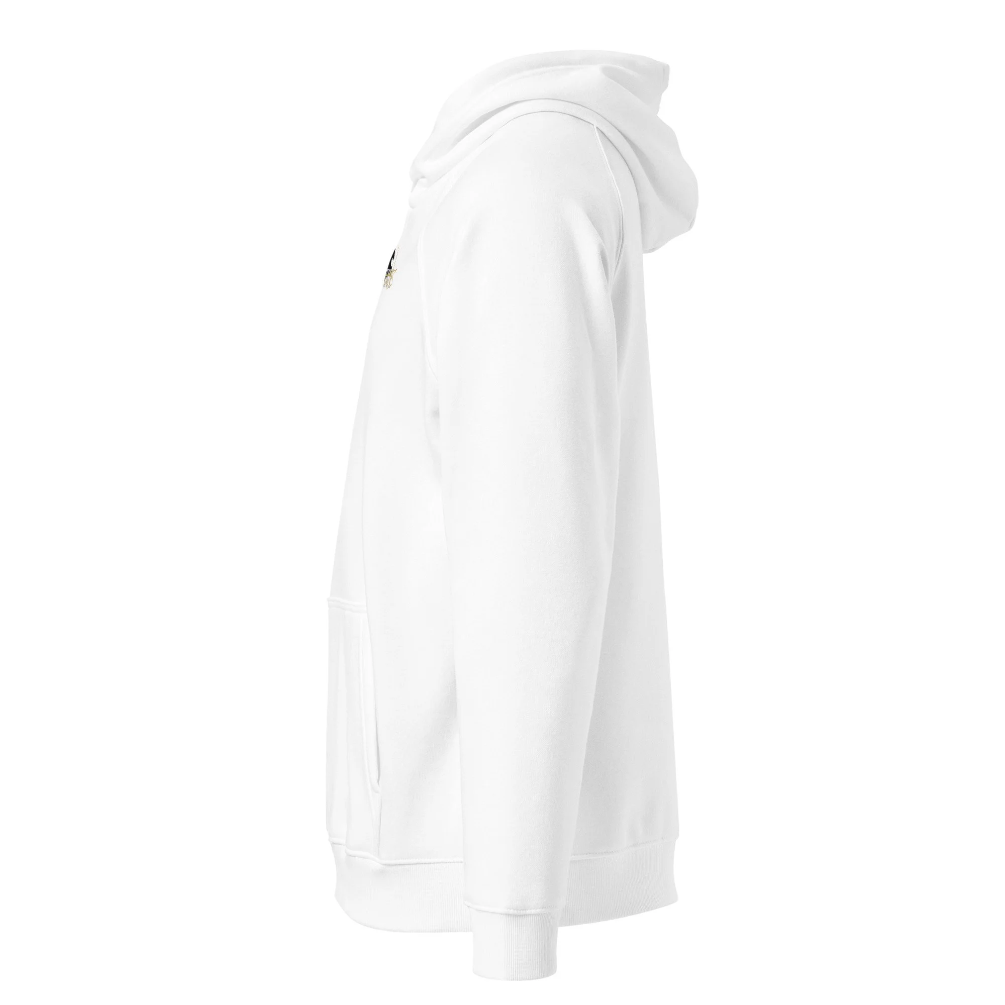 unisex-eco-raglan-hoodie-white-left-6a4389bec86b4.jpg