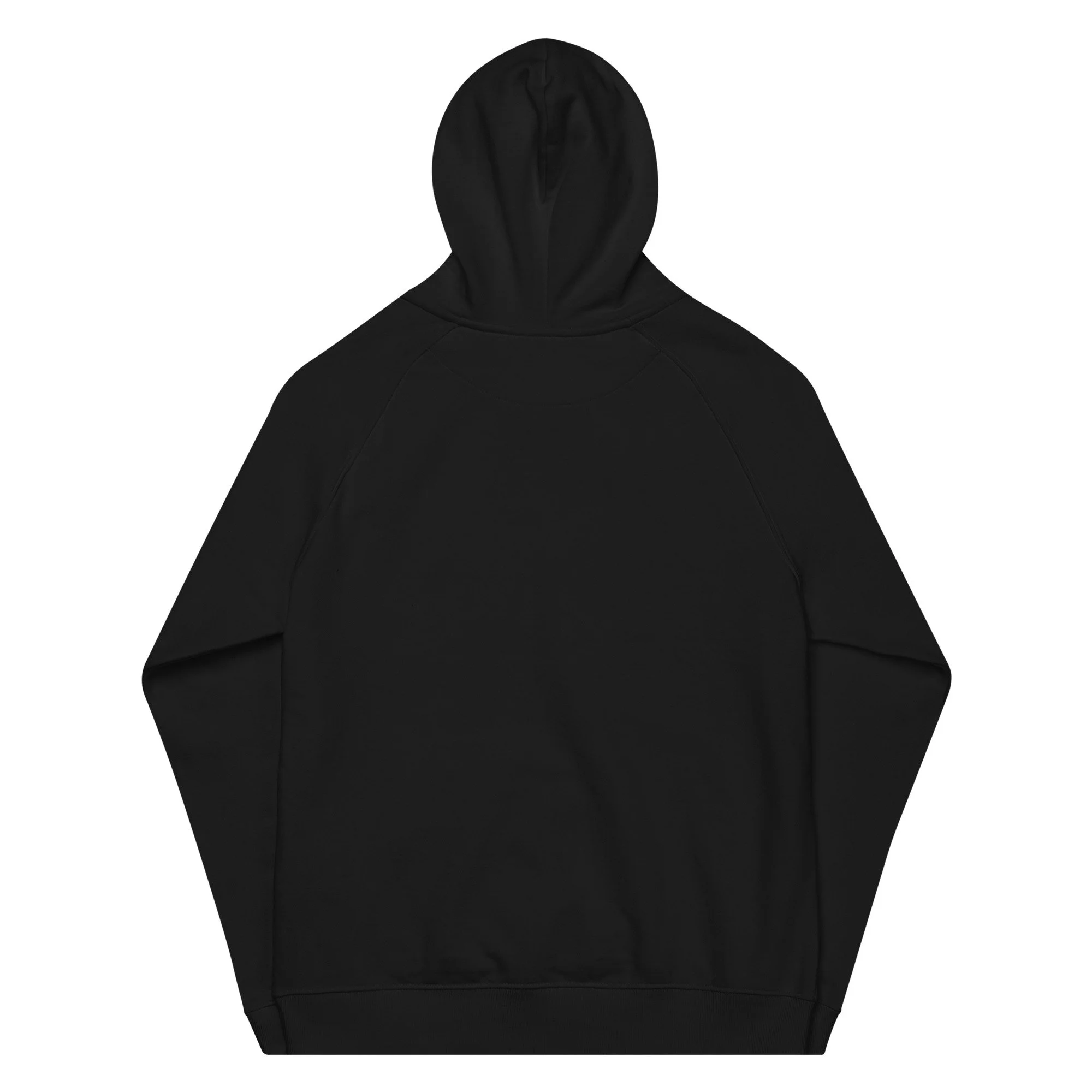 unisex-eco-raglan-hoodie-black-back-6a4389cfb7242.jpg