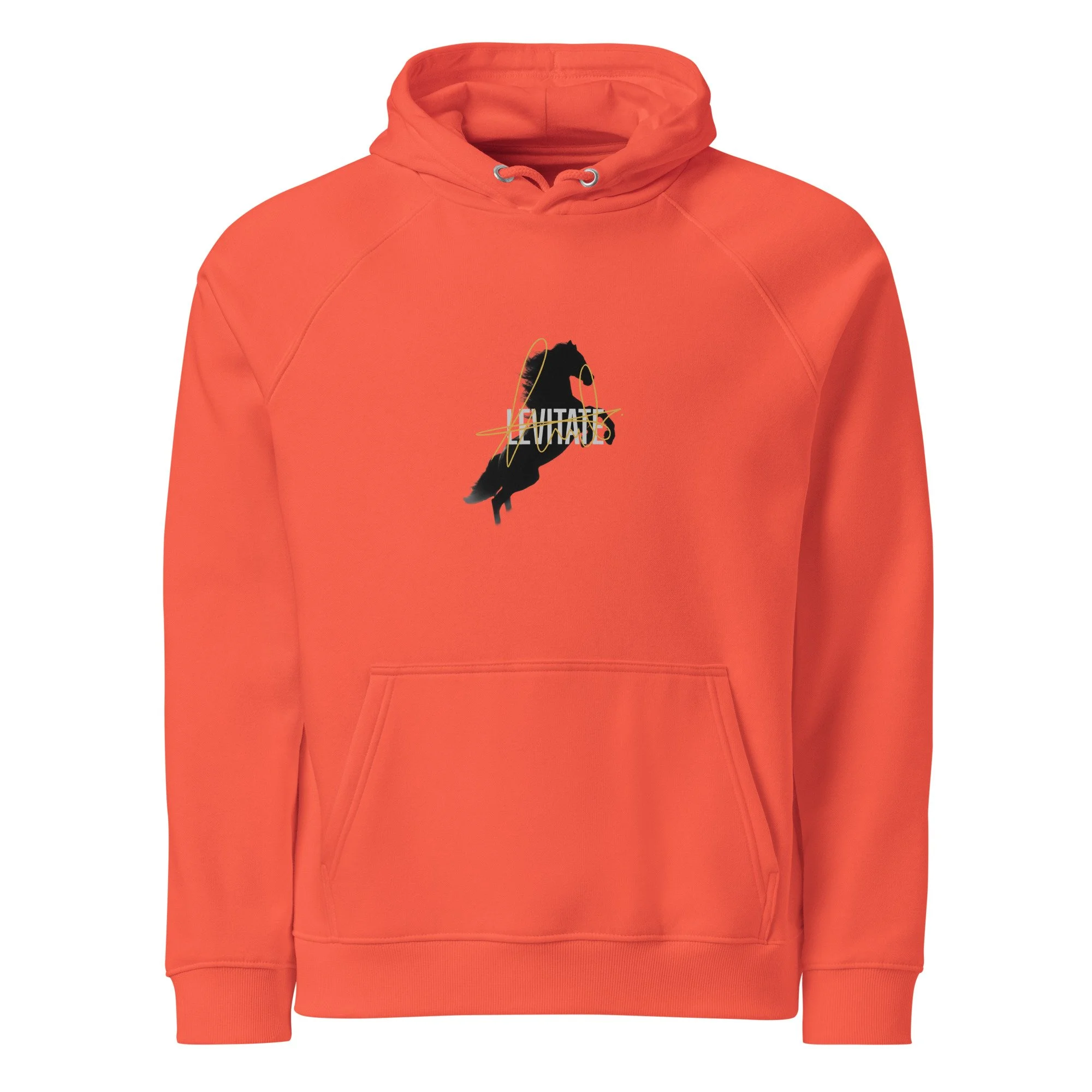 unisex-eco-raglan-hoodie-burnt-orange-front-6a4389cfb7a2f.jpg