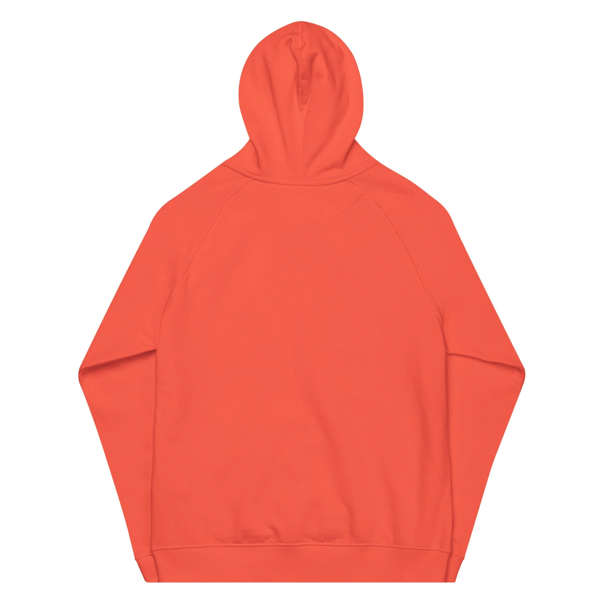 unisex-eco-raglan-hoodie-burnt-orange-back-6a4389cfb732f.jpg