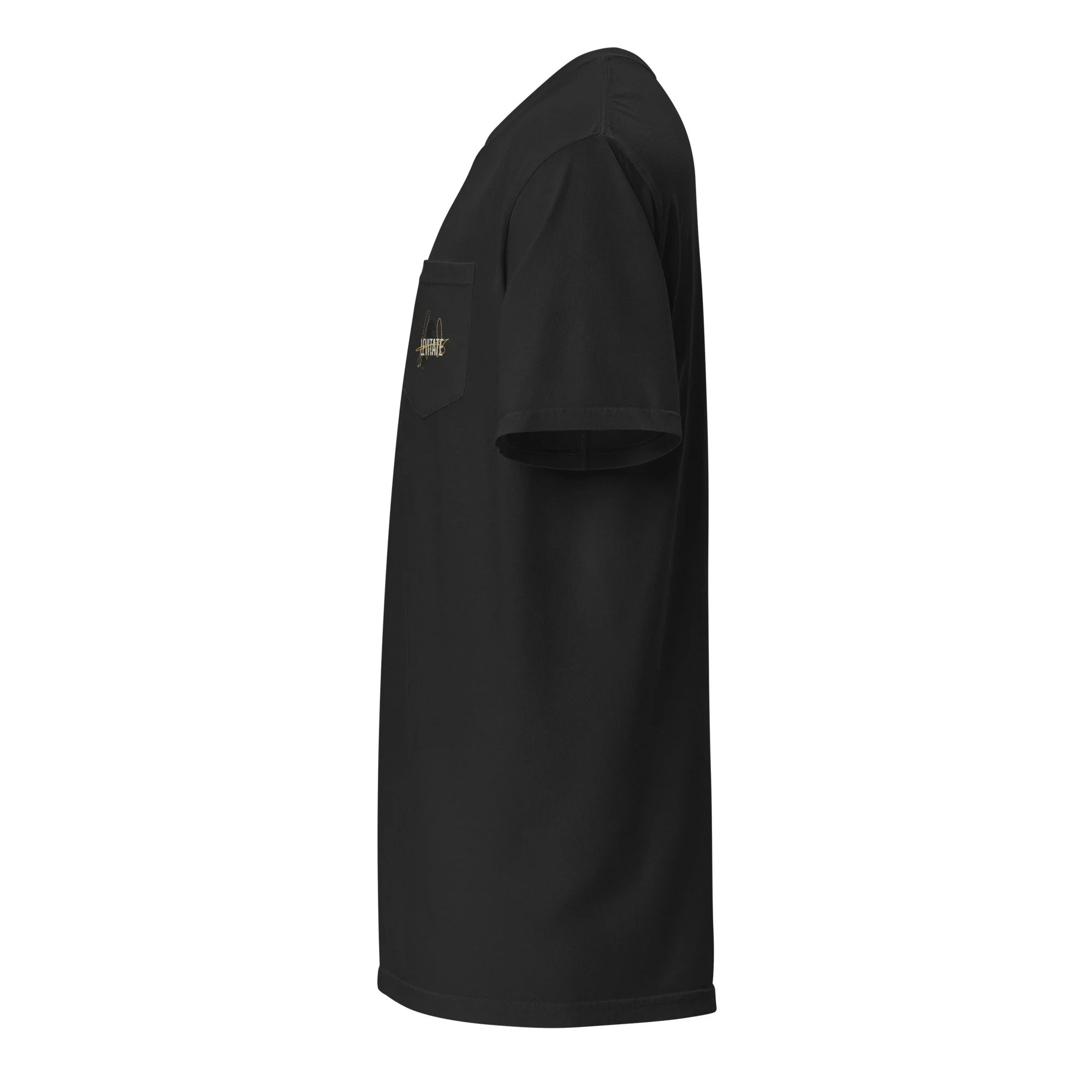 unisex-garment-dyed-pocket-t-shirt-black-left-6a438a7ae3968.jpg