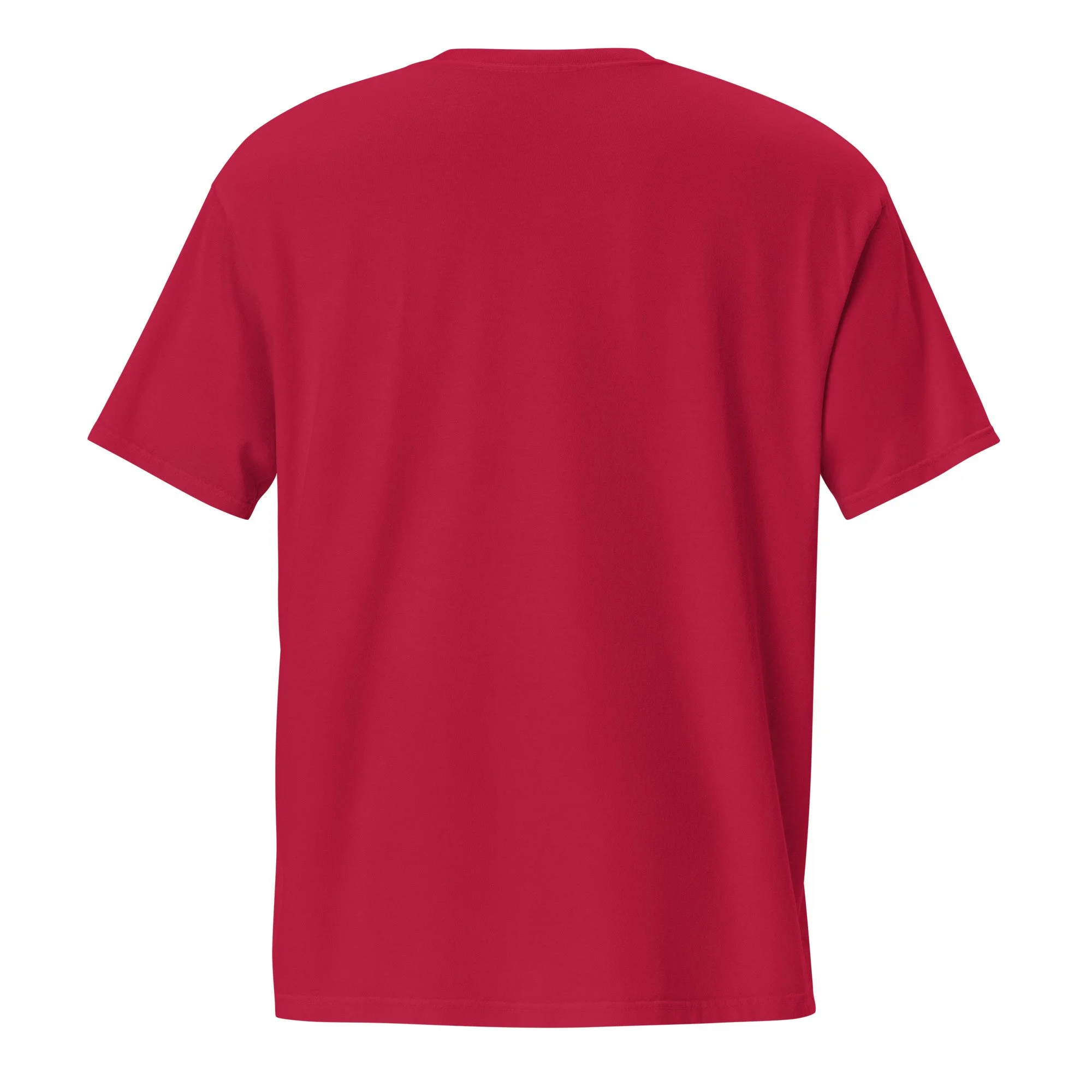 unisex-garment-dyed-pocket-t-shirt-red-back-6a438a7ae323c.jpg