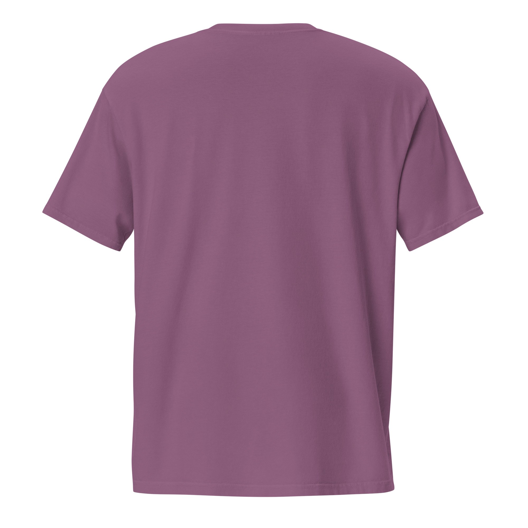 unisex-garment-dyed-pocket-t-shirt-berry-back-6a438a7ae305b.jpg