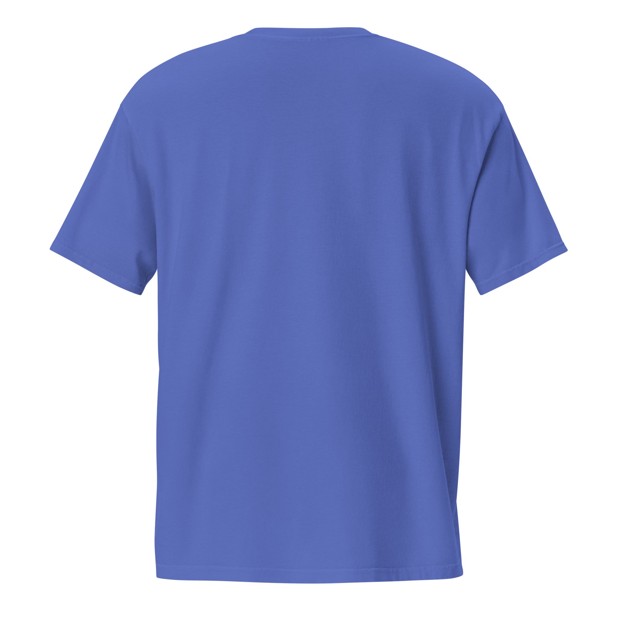 unisex-garment-dyed-pocket-t-shirt-flo-blue-back-6a438a7ae319f.jpg