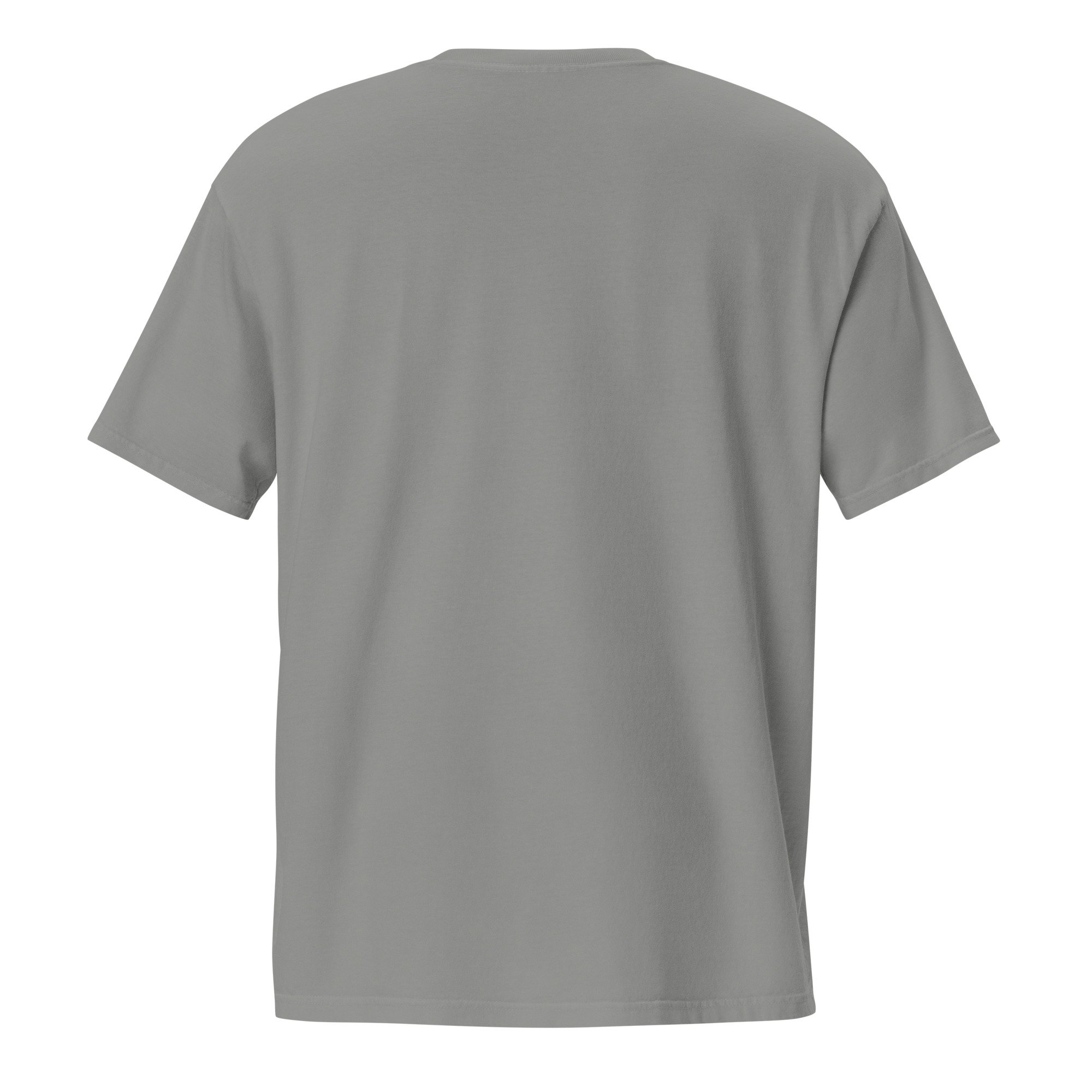 unisex-garment-dyed-pocket-t-shirt-grey-back-6a438a7ae31ff.jpg