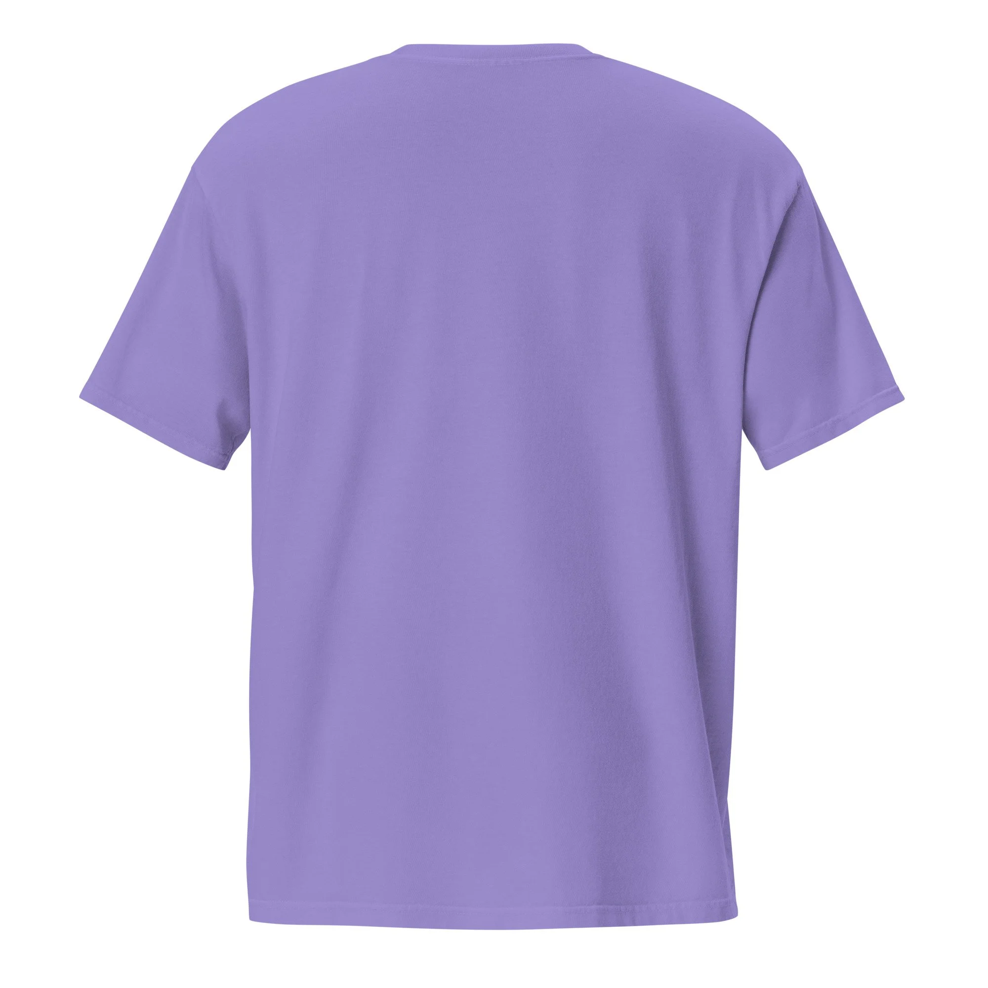 unisex-garment-dyed-pocket-t-shirt-violet-back-6a438a7ae32d4.jpg