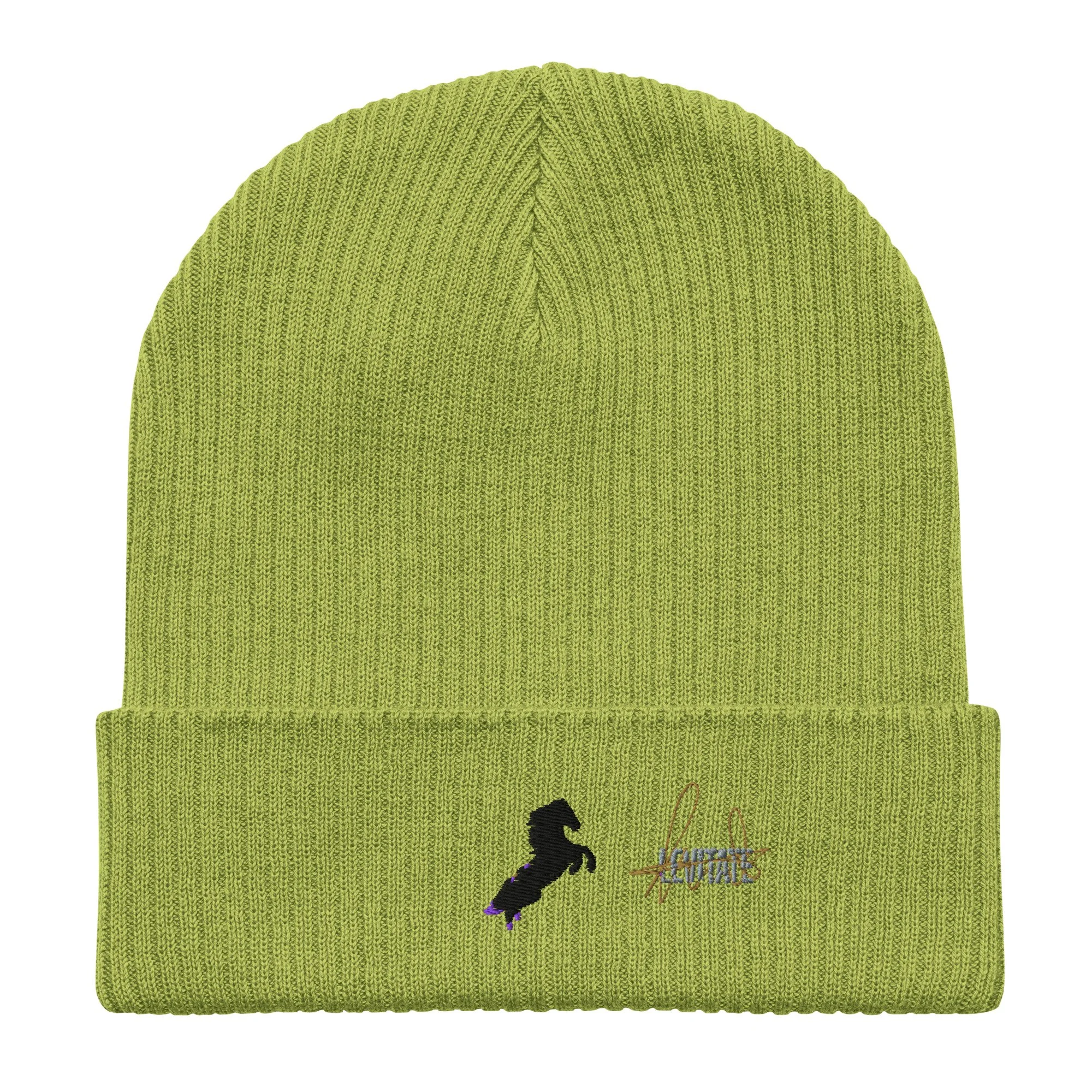 organic-ribbed-beanie-leaf-green-front-6a438ae788e46.jpg
