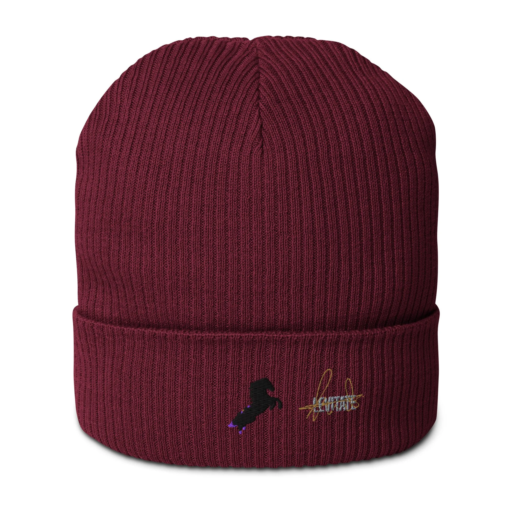 organic-ribbed-beanie-burgundy-front-6a438ae7887cd.jpg