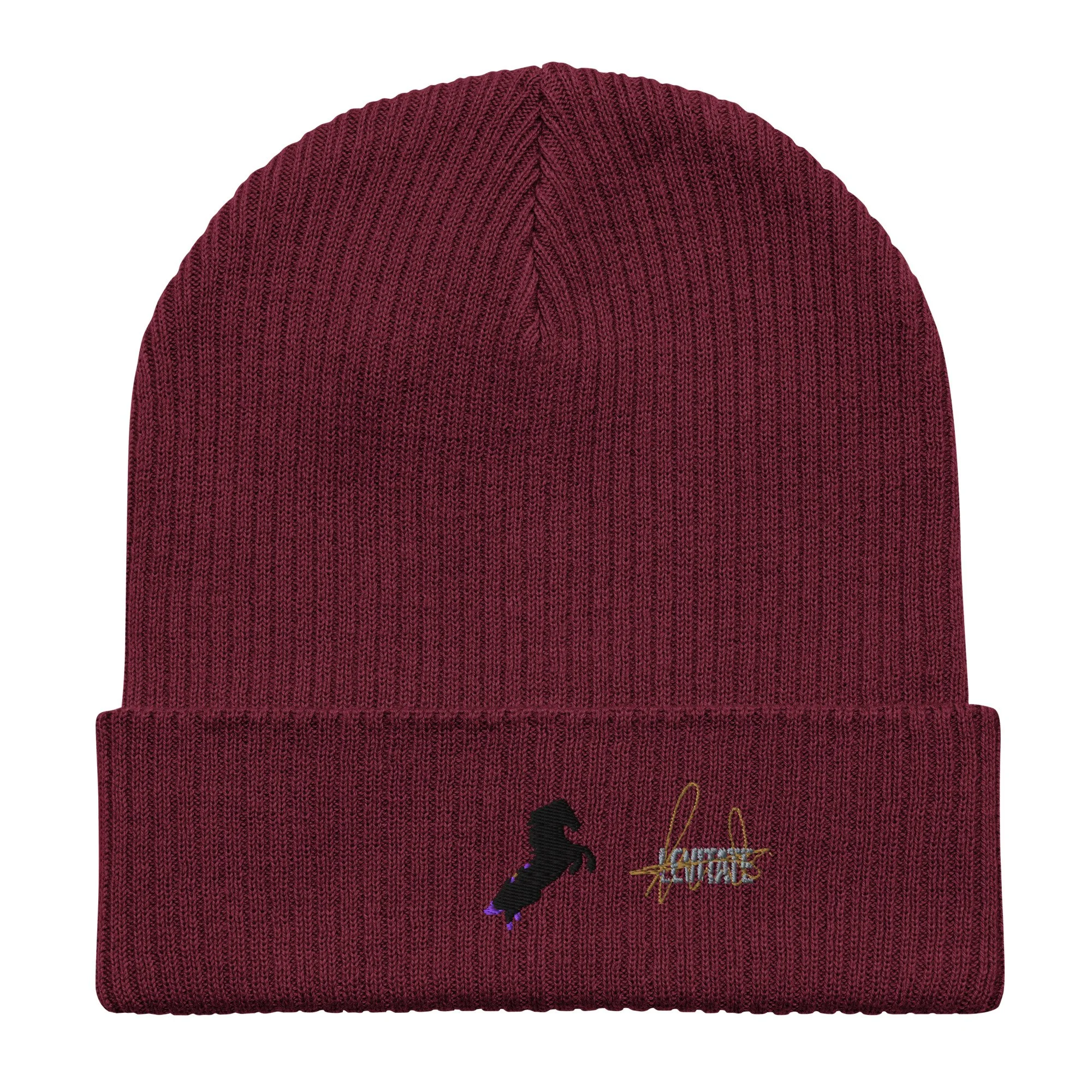 organic-ribbed-beanie-burgundy-front-6a438ae788e08.jpg