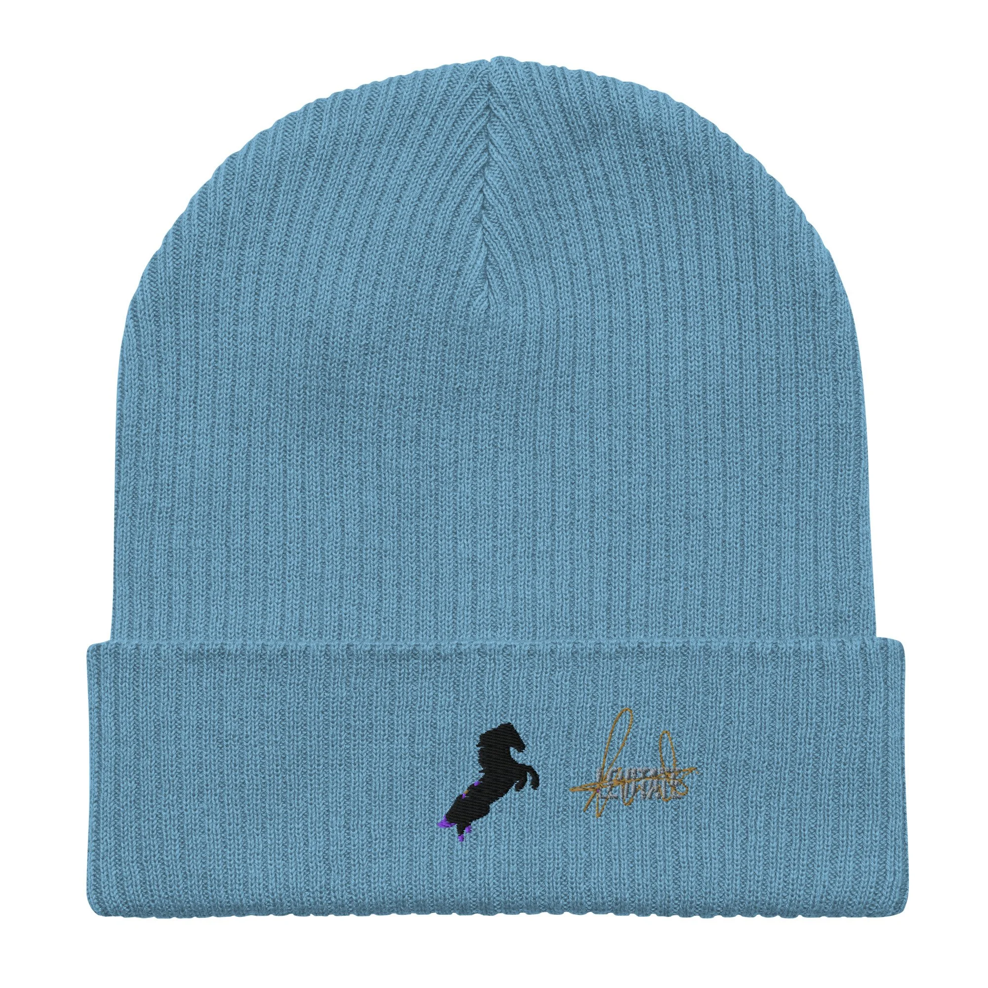 organic-ribbed-beanie-light-avio-blue-front-6a438ae788e83.jpg