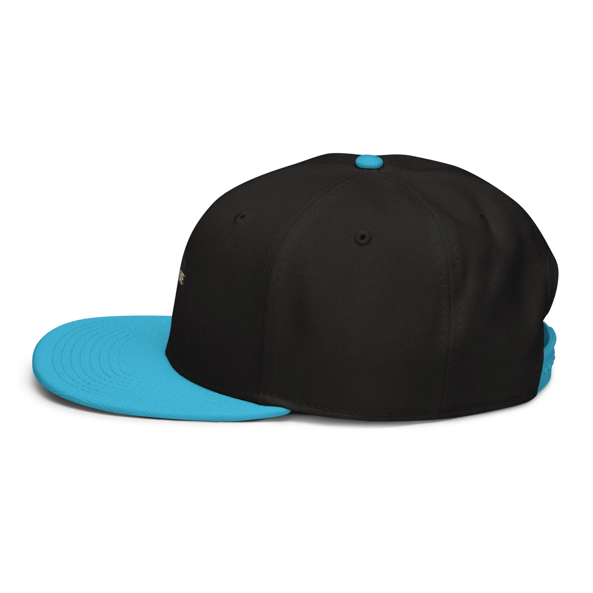 snapback-aqua-blue-black-black-left-side-6a438b775045b.jpg
