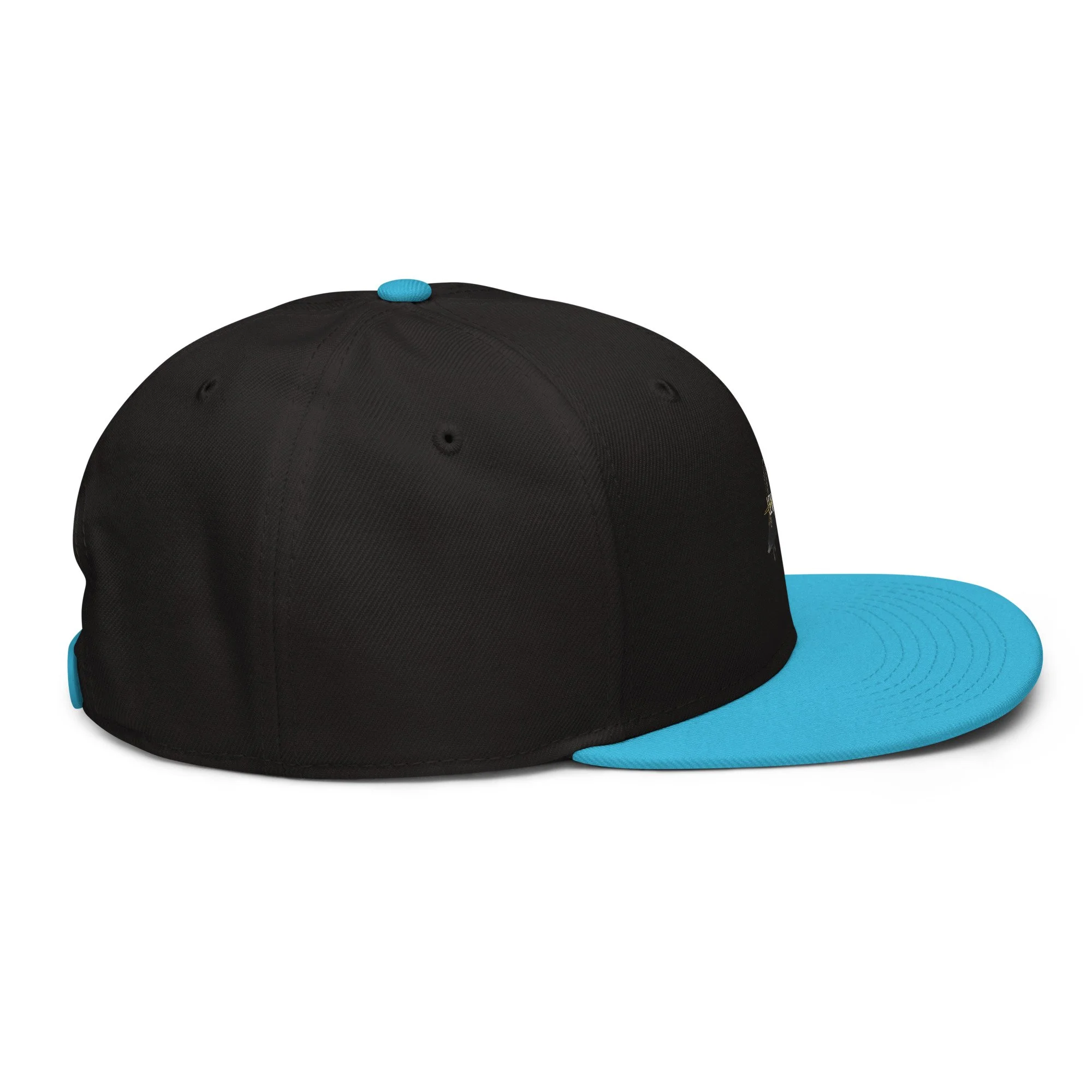 snapback-aqua-blue-black-black-right-side-6a438b77517fe.jpg