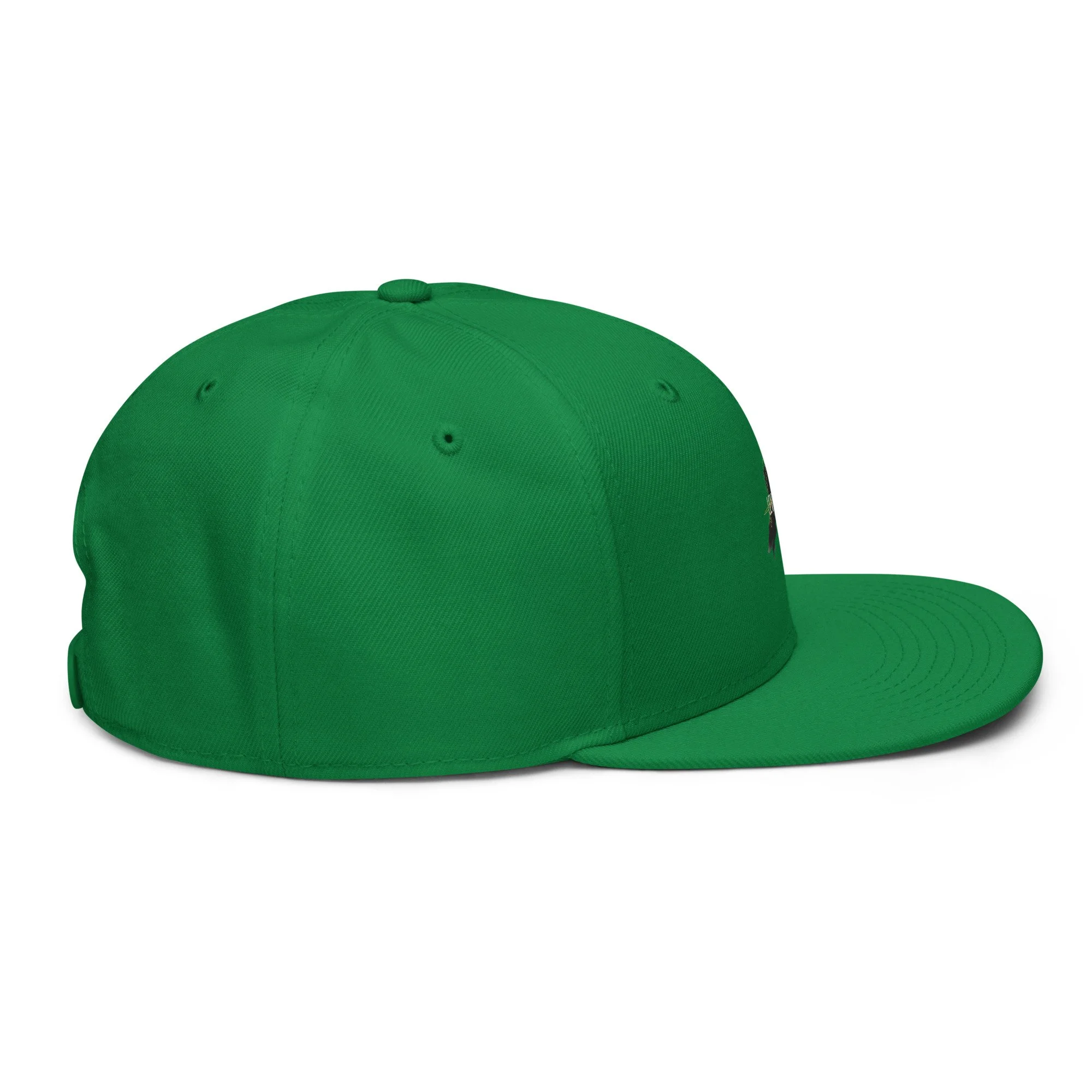snapback-kelly-green-right-side-6a438b7751c1f.jpg